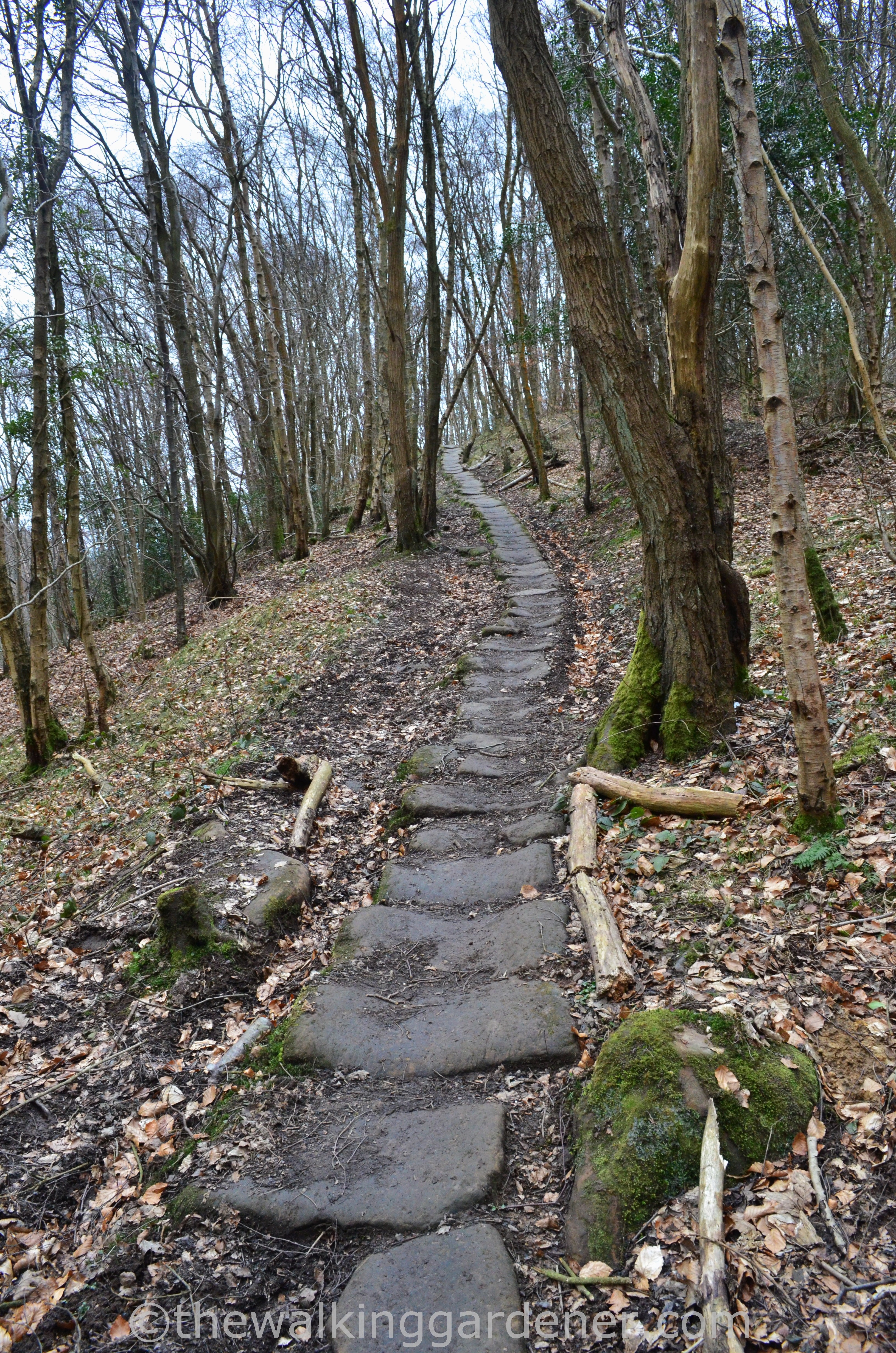 Coast to Coast Day 11 Blakey Ridge to Egton Bridge (15)