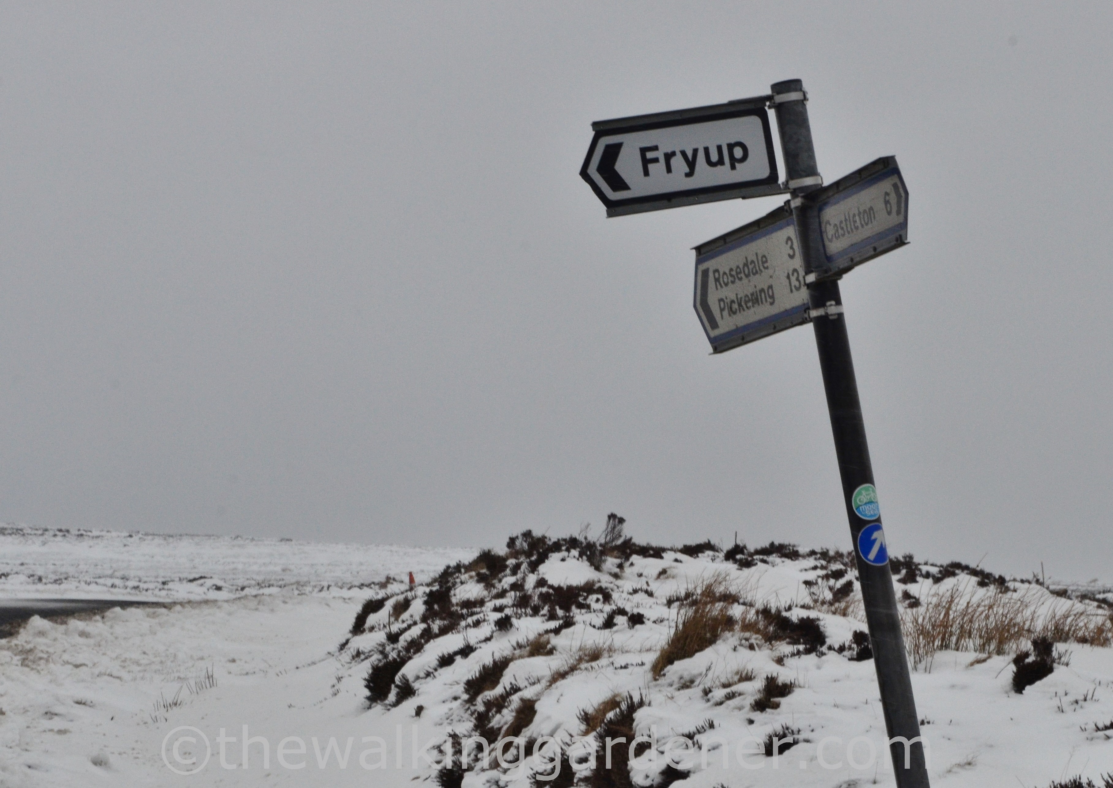Coast to Coast Day 11 Blakey Ridge to Egton Bridge (2)