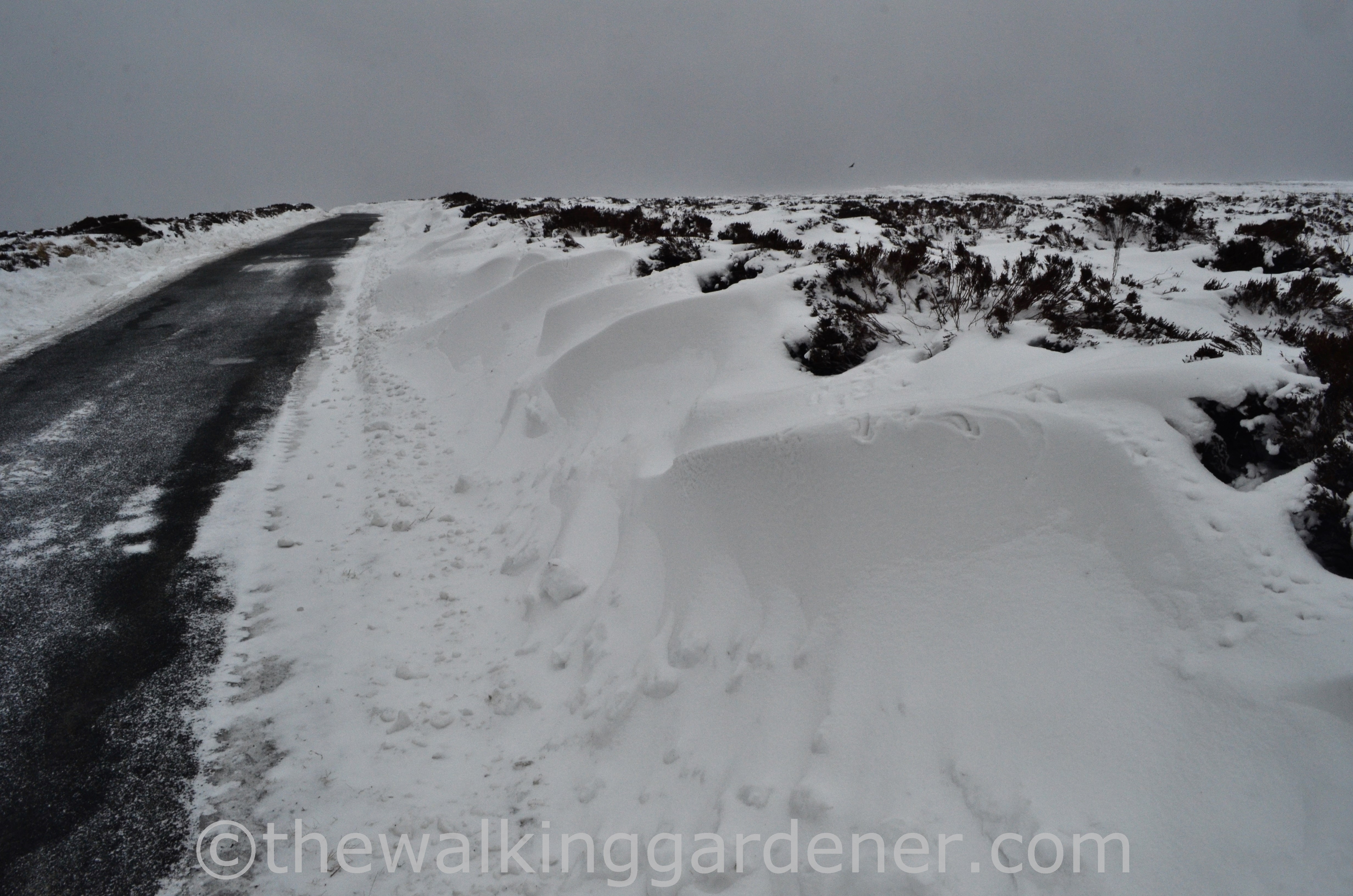 Coast to Coast Day 11 Blakey Ridge to Egton Bridge (3)