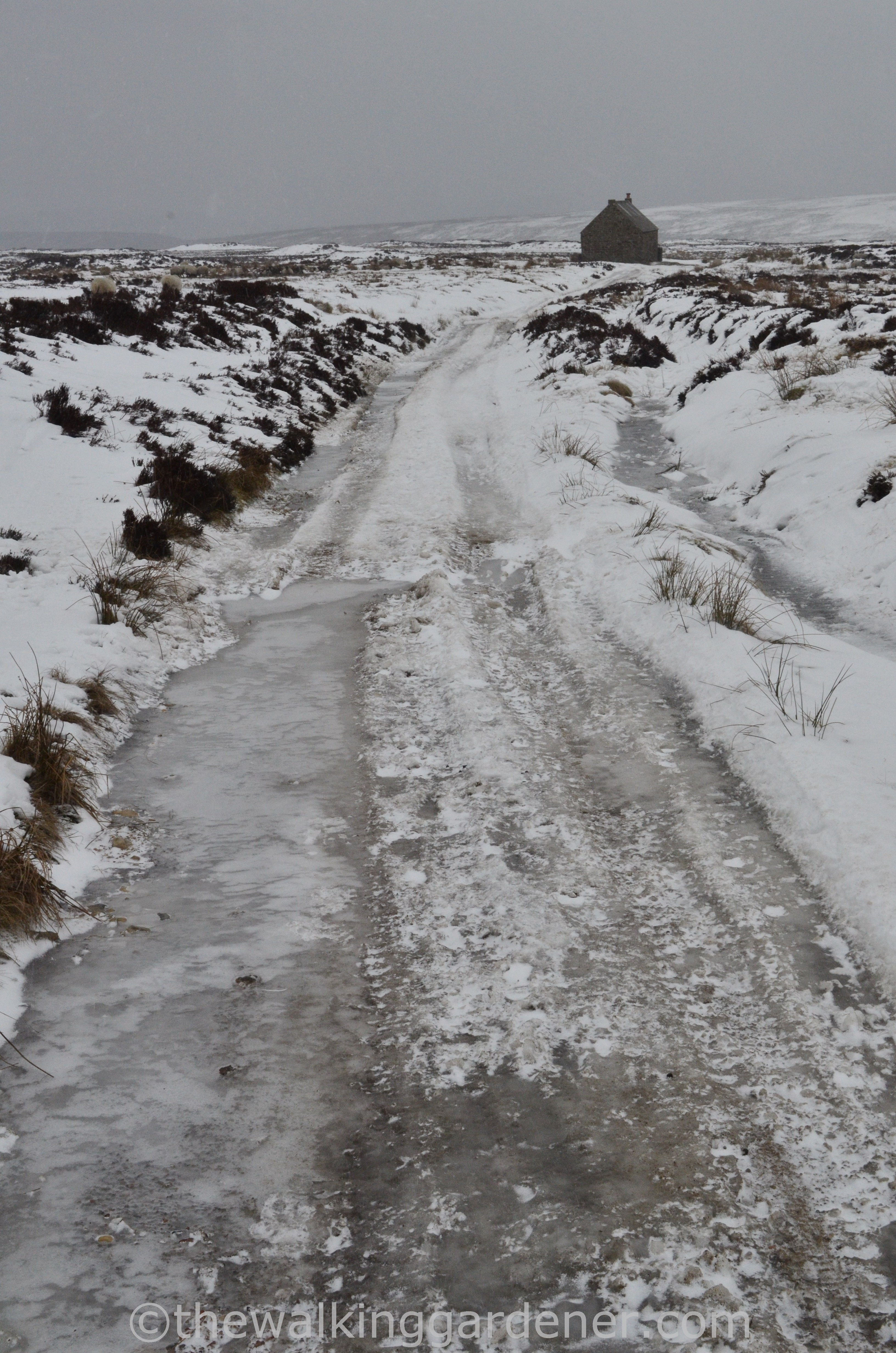 Coast to Coast Day 11 Blakey Ridge to Egton Bridge (4)