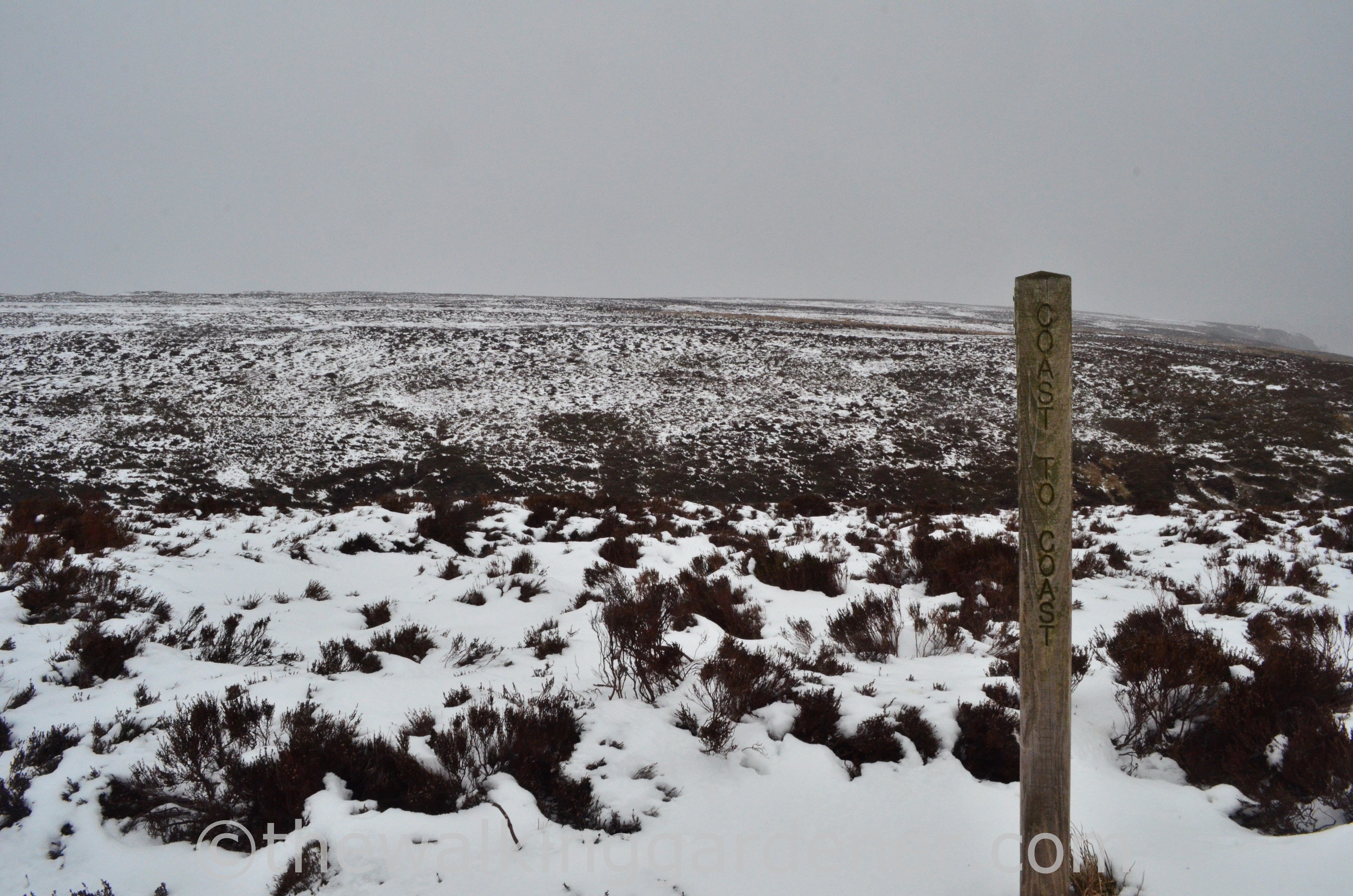 Coast to Coast Day 11 Blakey Ridge to Egton Bridge (7)