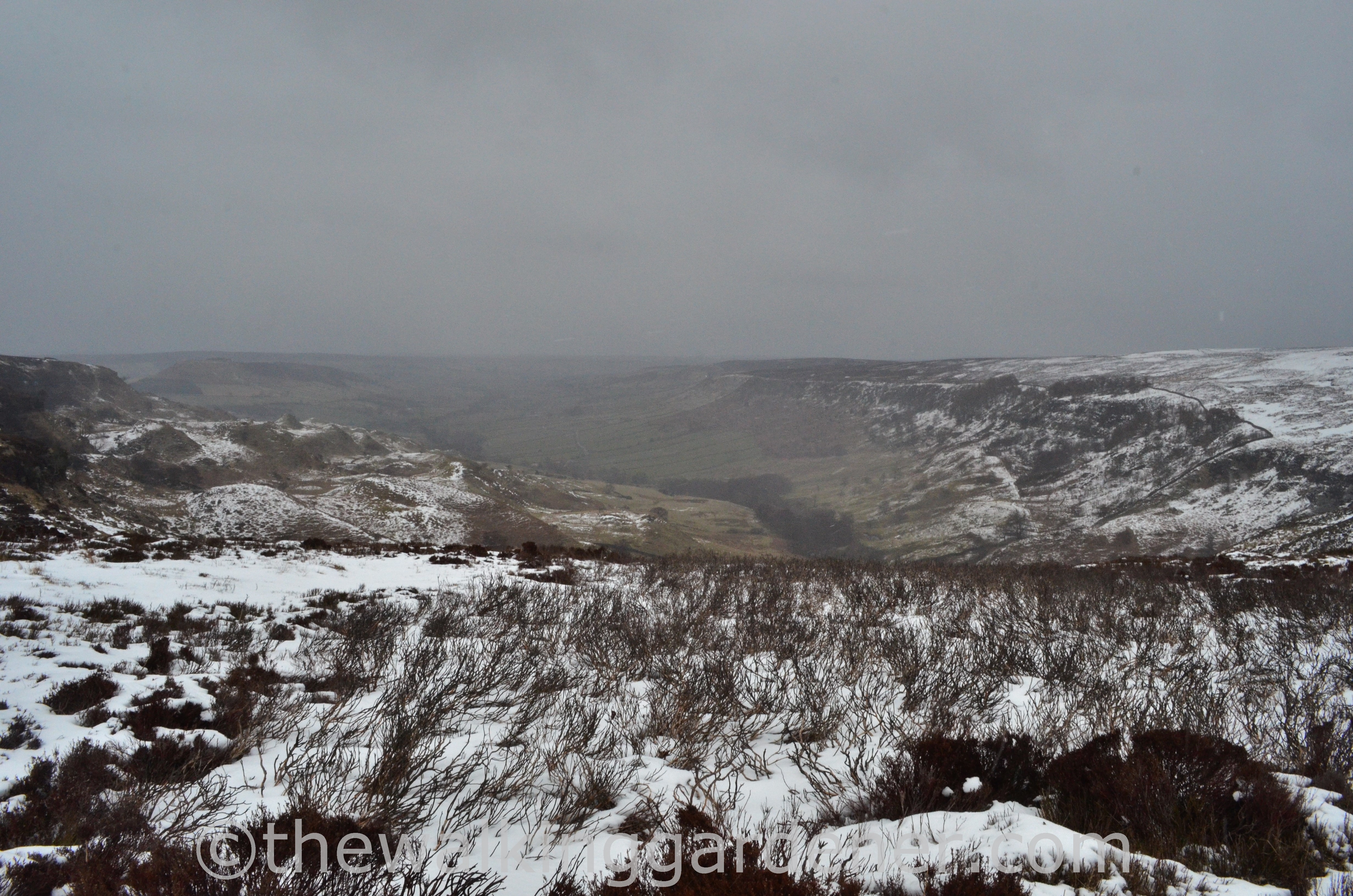 Coast to Coast Day 11 Blakey Ridge to Egton Bridge (8)