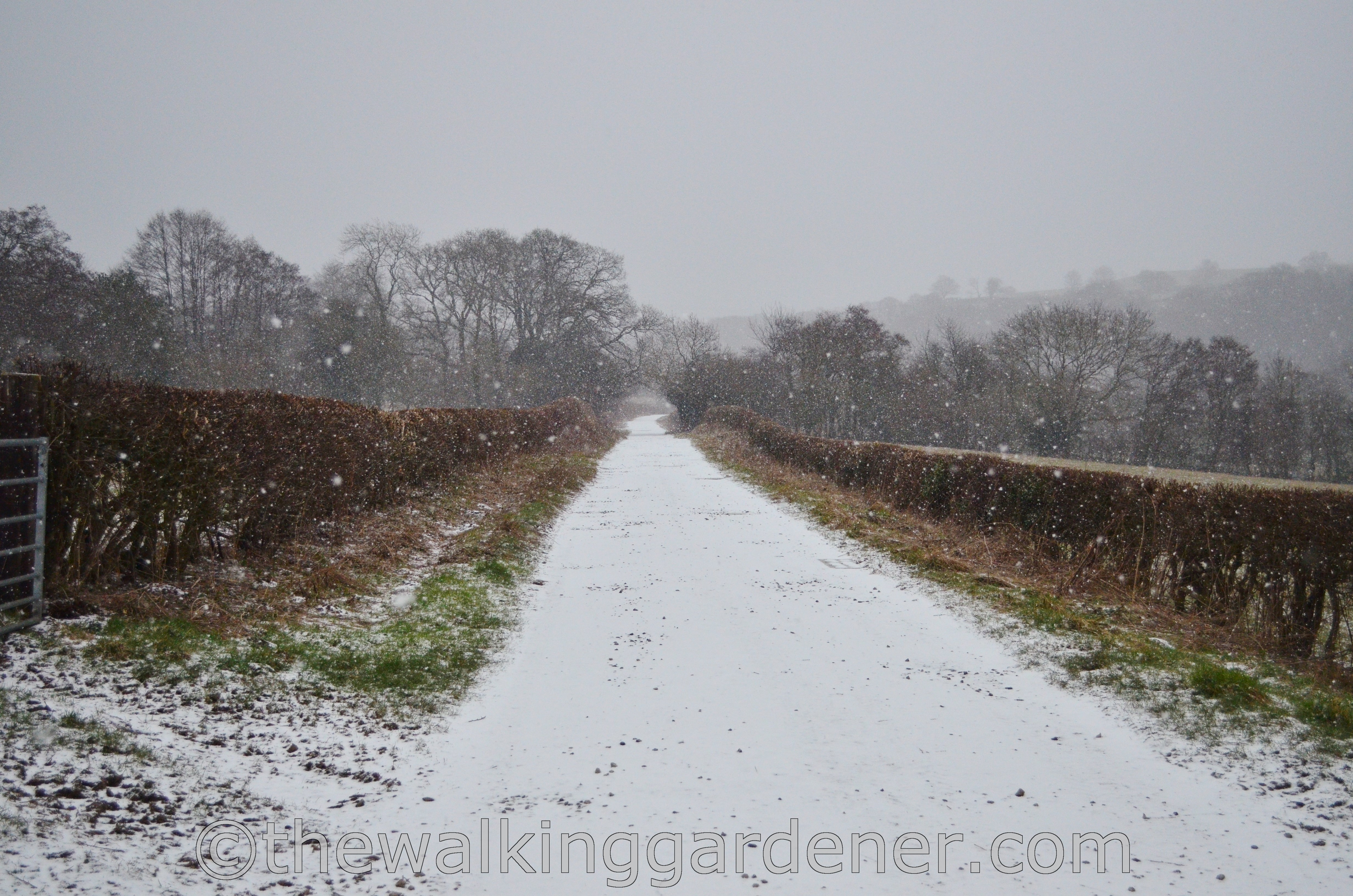 Coast to Coast Day 12 Egton Bridge to Robin Hoods Bay (1)