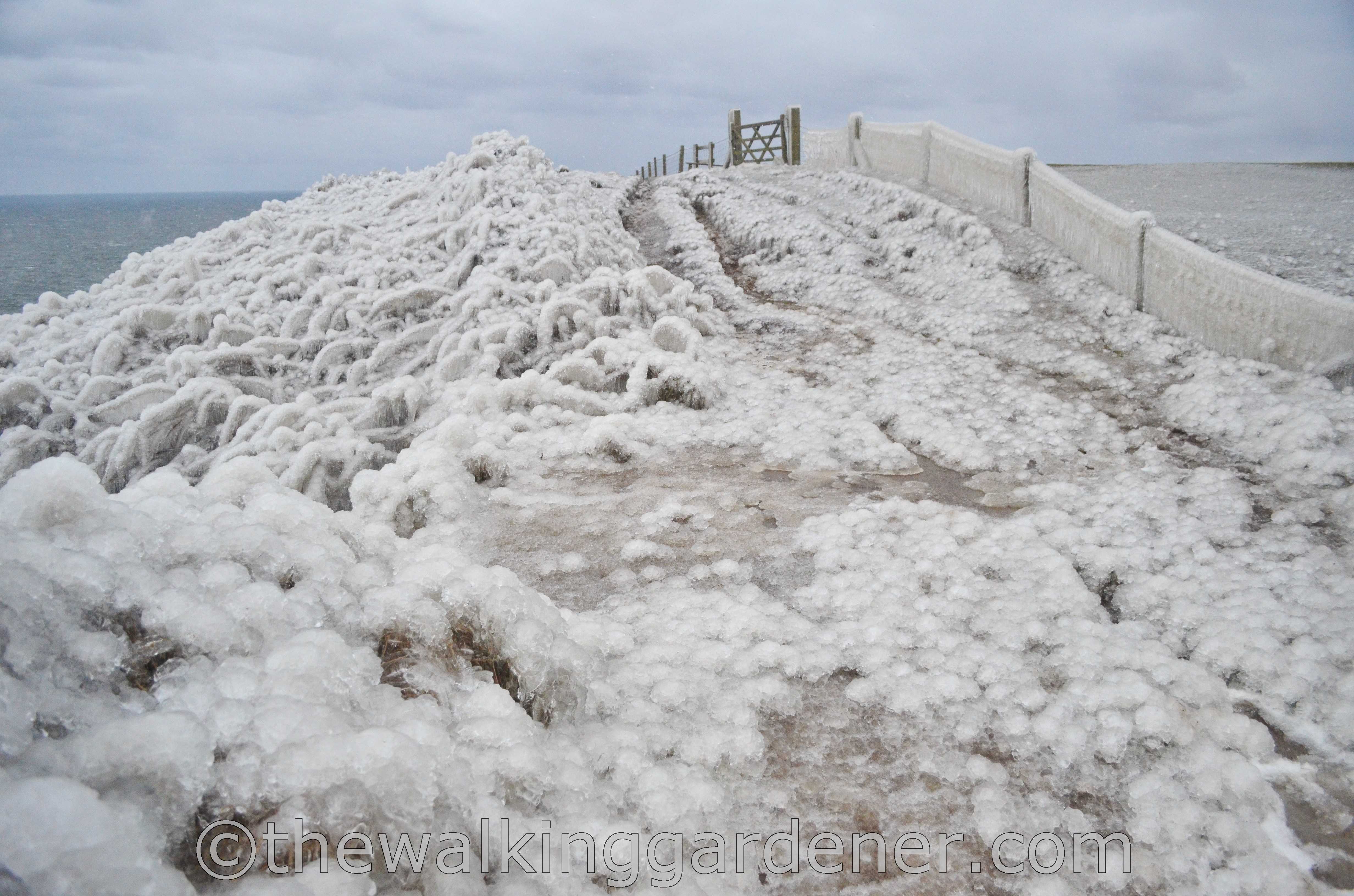 Coast to Coast Day 12 Egton Bridge to Robin Hoods Bay (13)