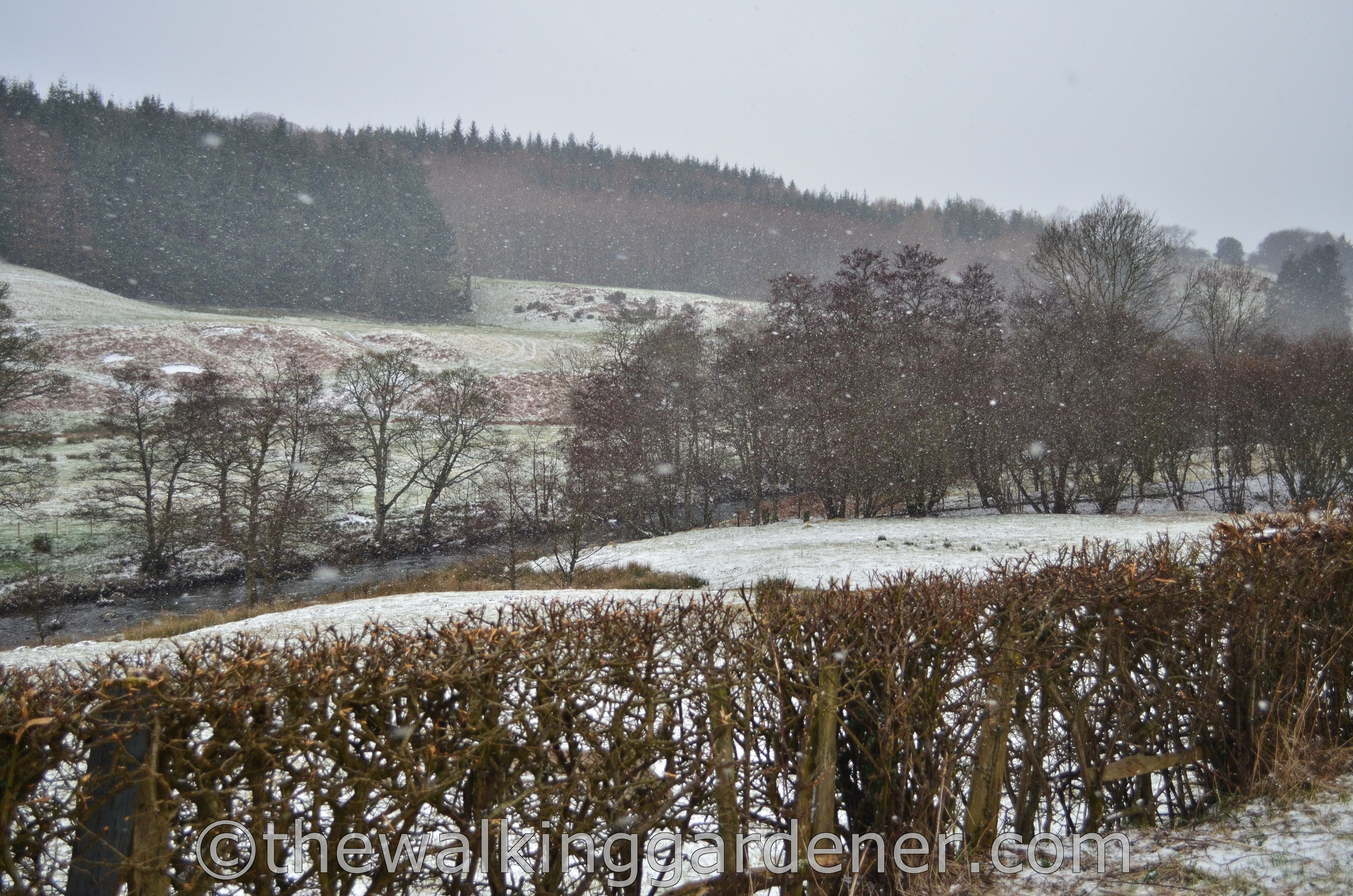 Coast to Coast Day 12 Egton Bridge to Robin Hoods Bay (2)