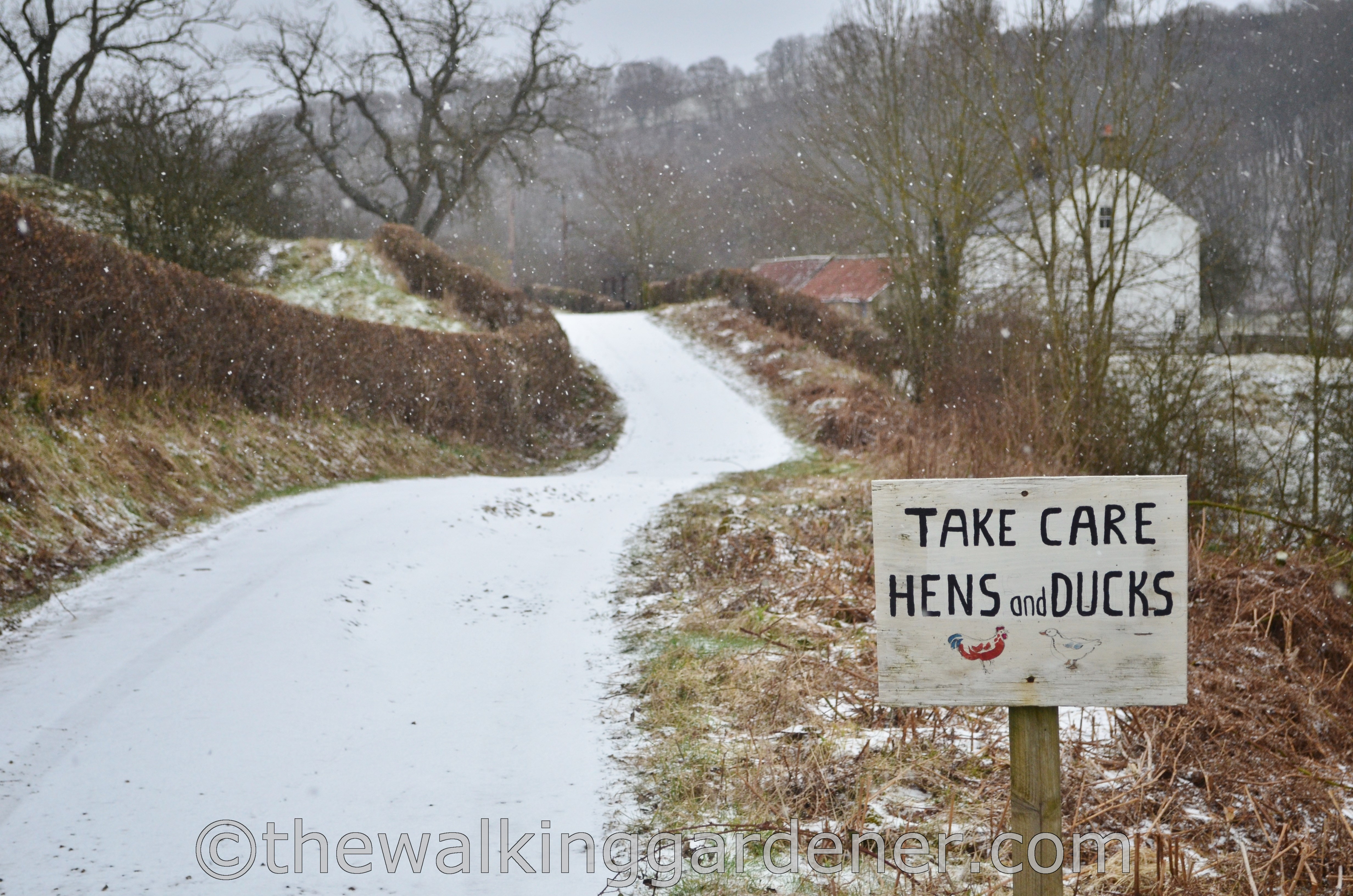 Coast to Coast Day 12 Egton Bridge to Robin Hoods Bay (3)