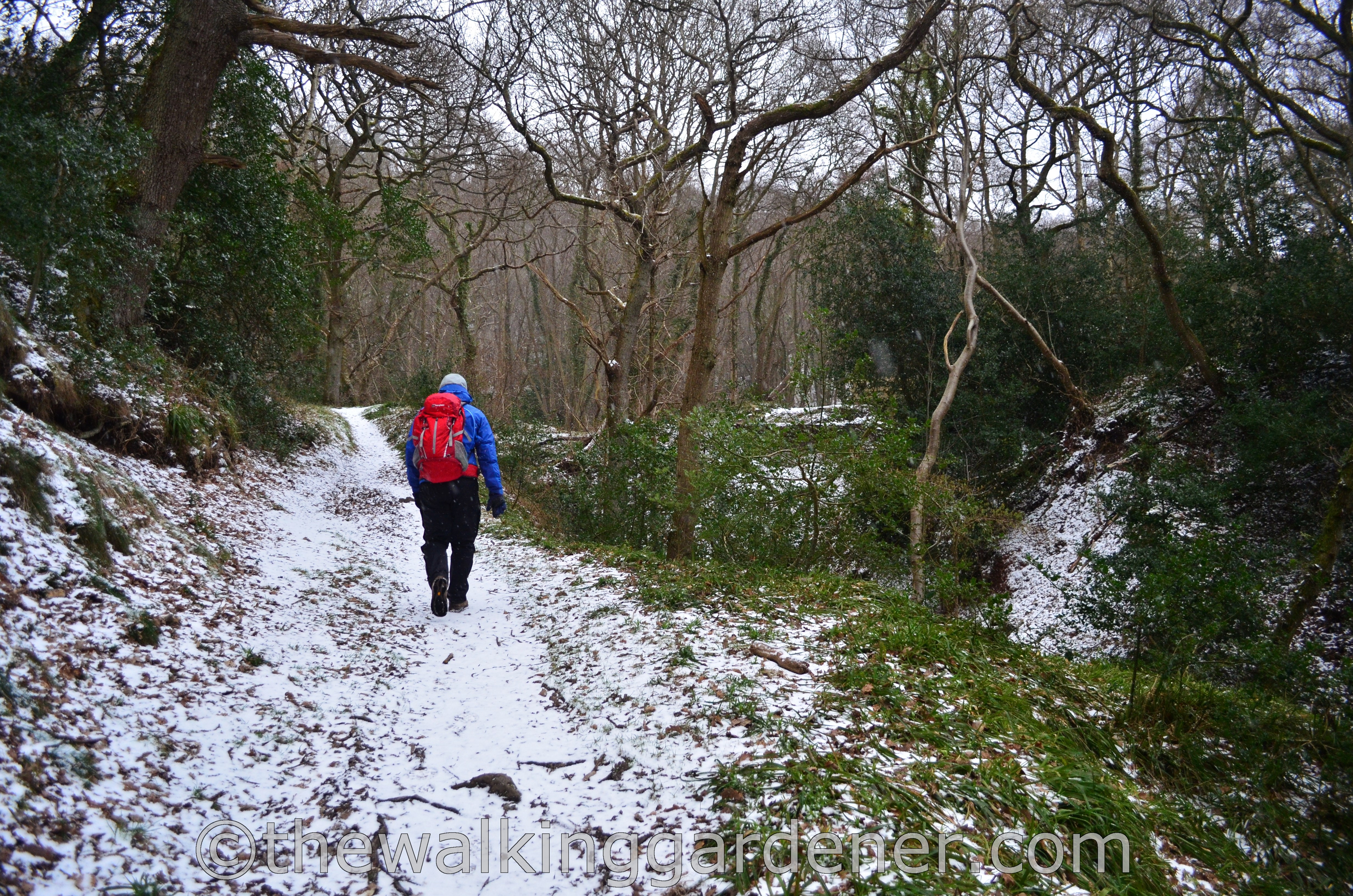 Coast to Coast Day 12 Egton Bridge to Robin Hoods Bay (5)