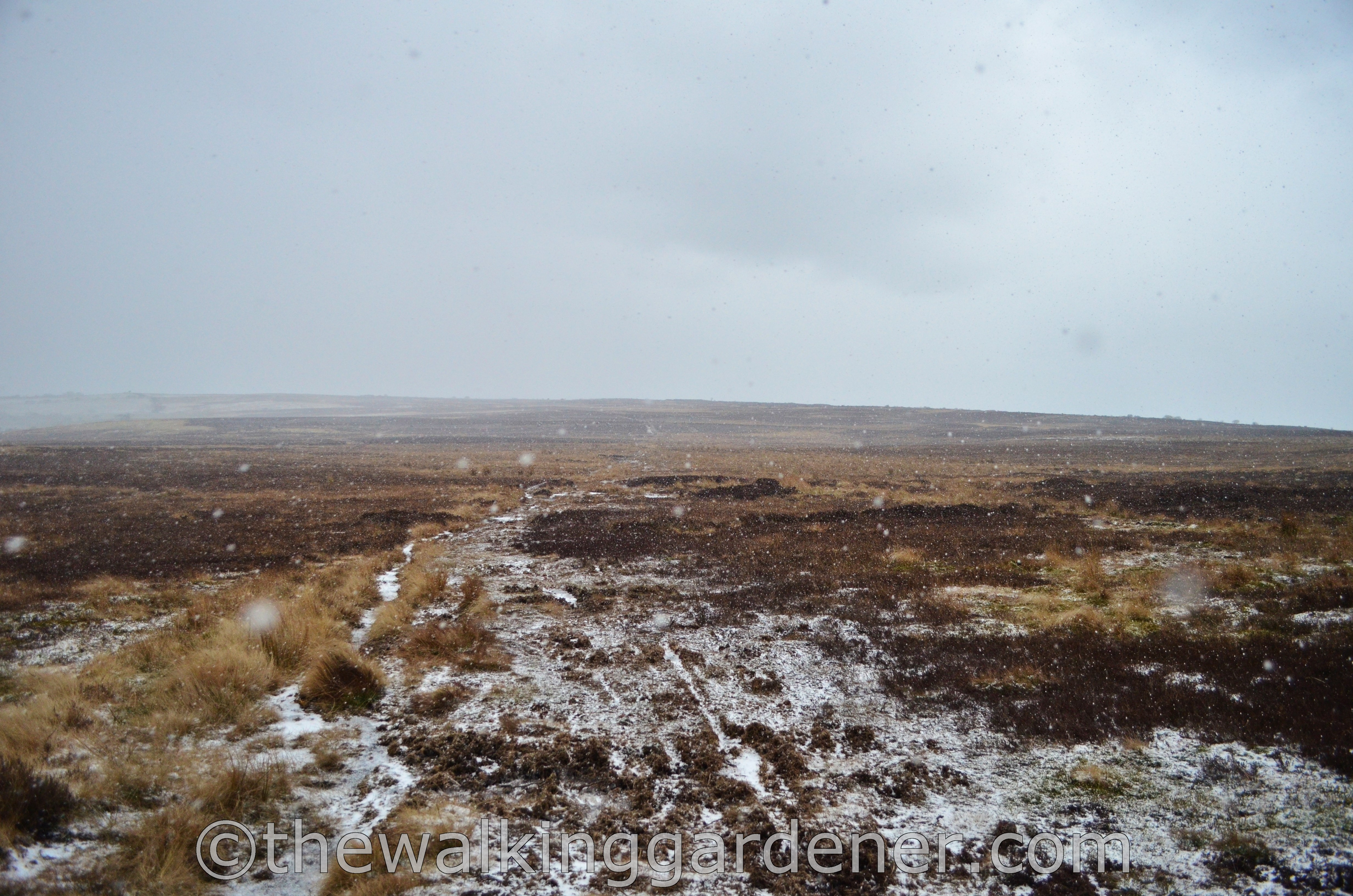 Coast to Coast Day 12 Egton Bridge to Robin Hoods Bay (7)