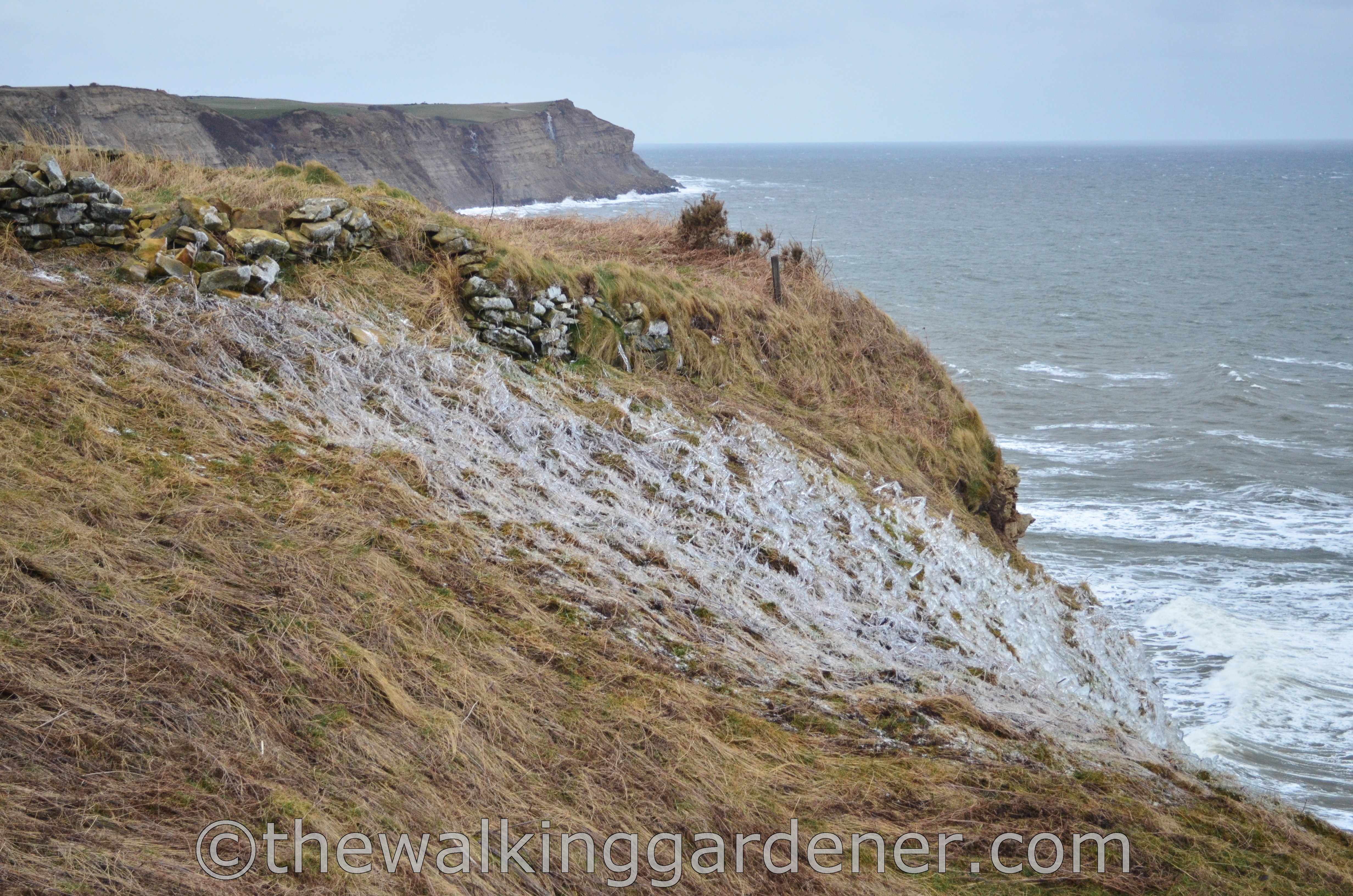Coast to Coast Day 12 Egton Bridge to Robin Hoods Bay (9)