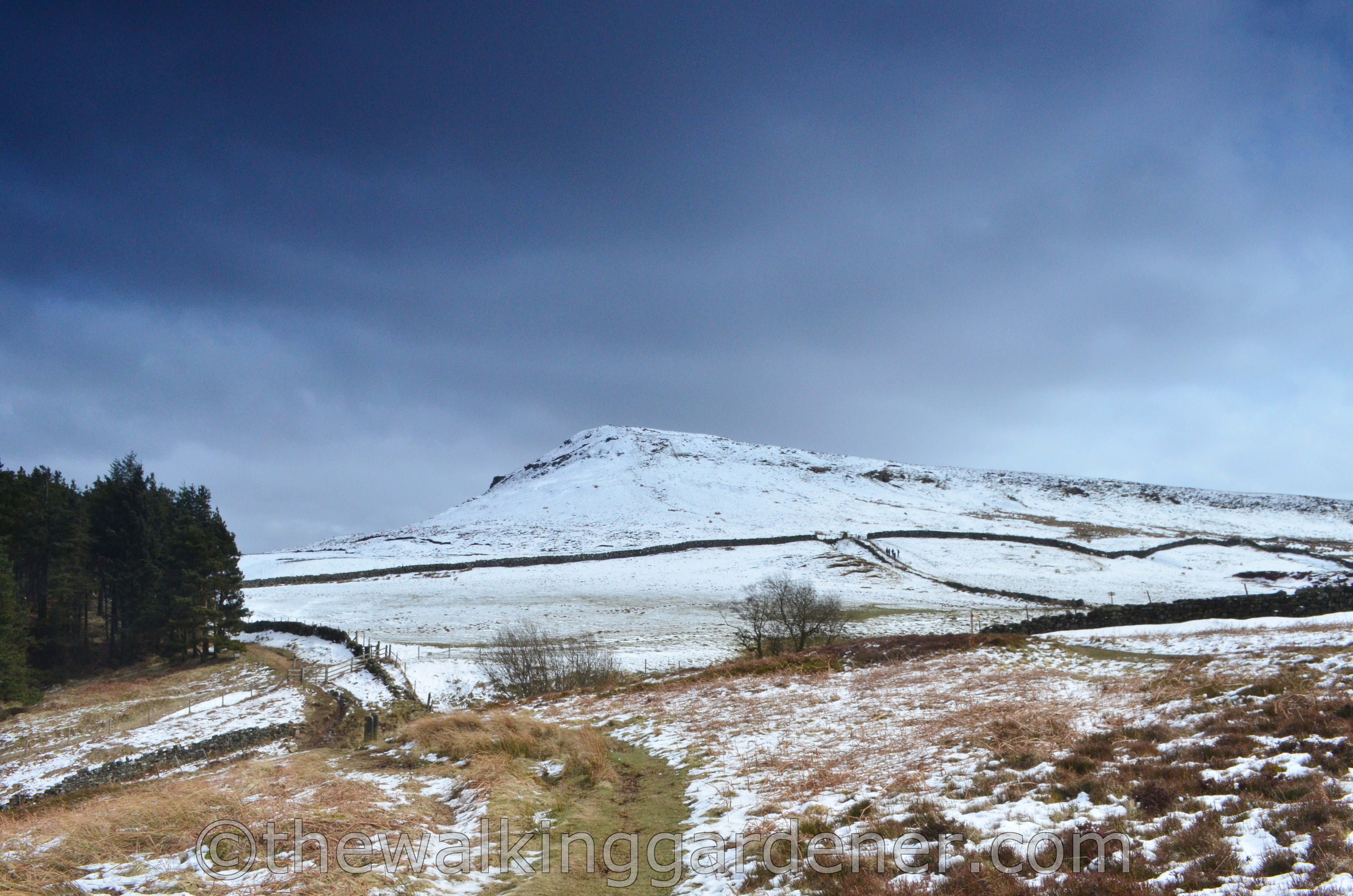 Coast to Coast Ingleby Cross to Blakey Ridge (12)