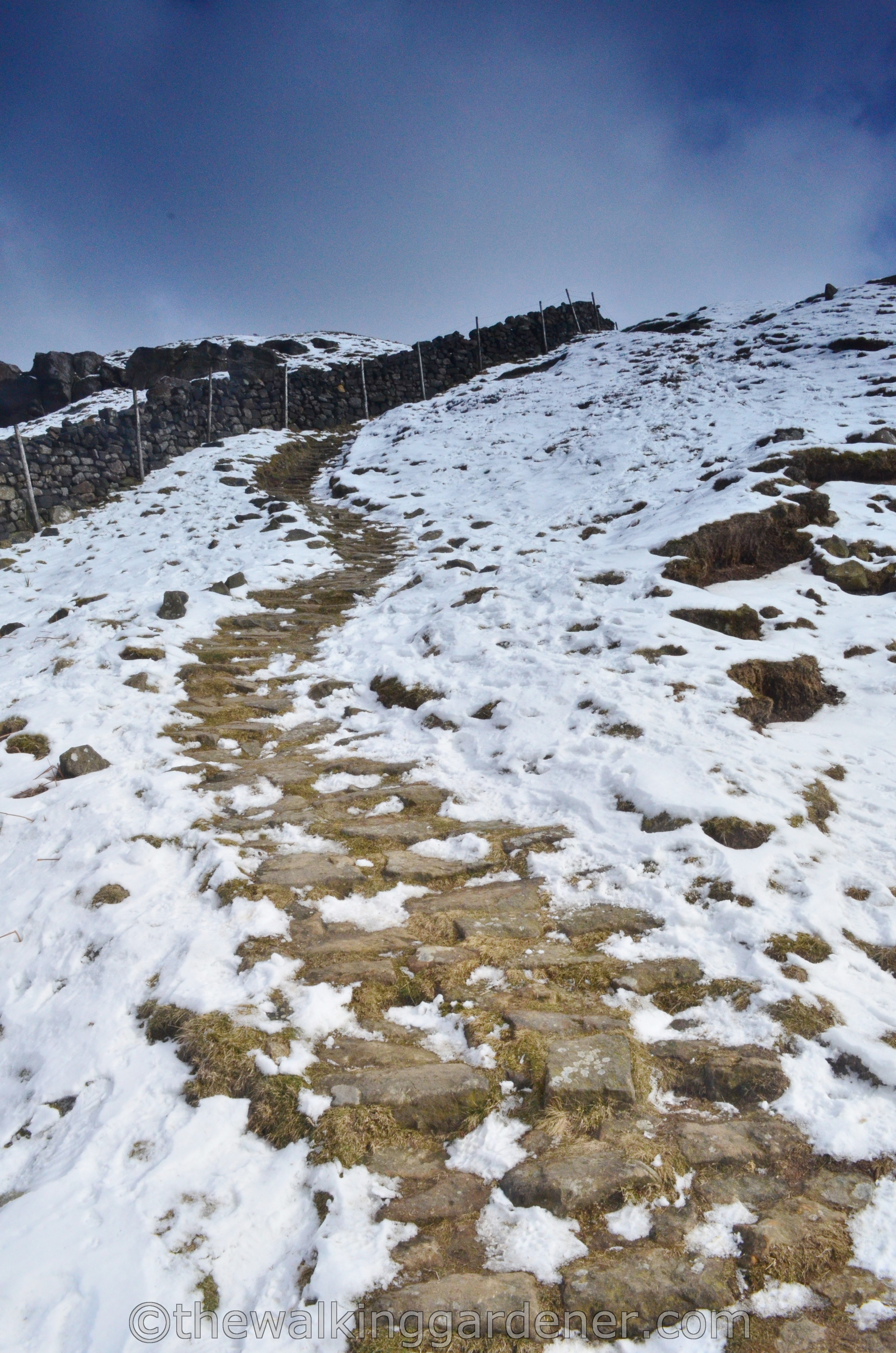 Coast to Coast Ingleby Cross to Blakey Ridge (16)