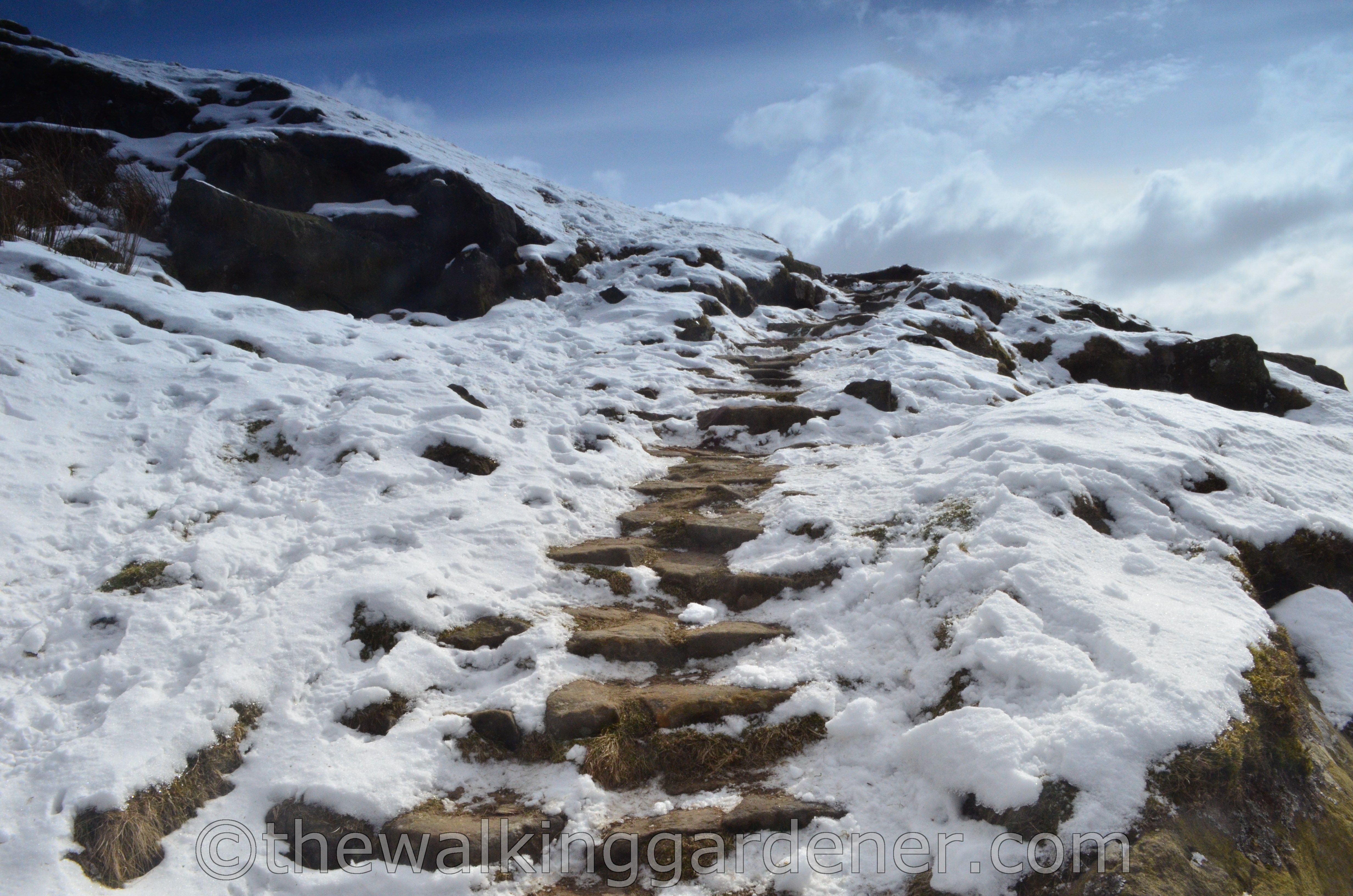 Coast to Coast Ingleby Cross to Blakey Ridge (18)