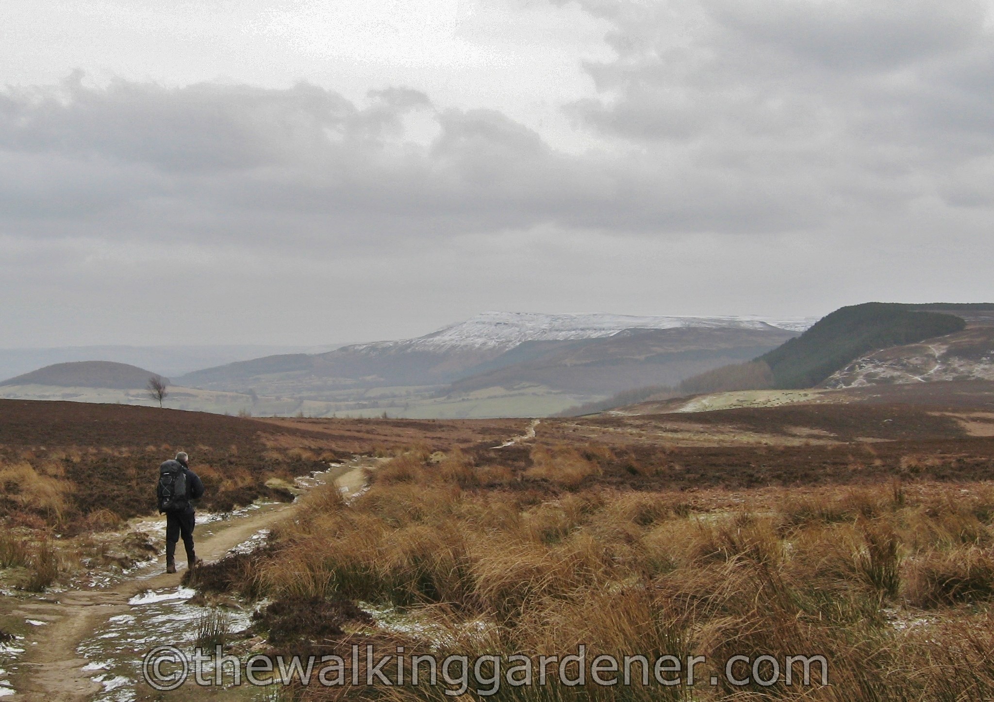 Coast to Coast Ingleby Cross to Blakey Ridge (20)
