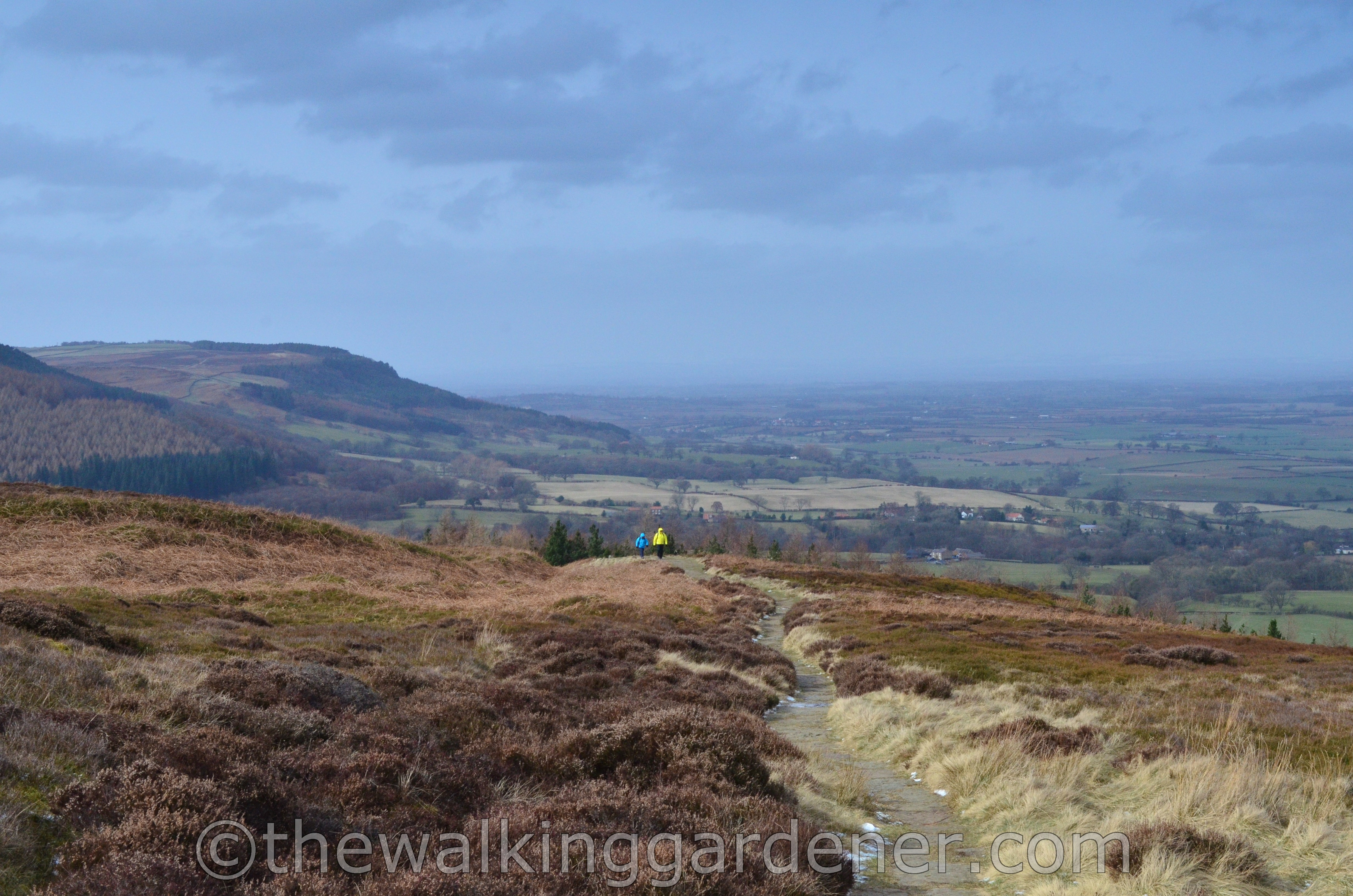 Coast to Coast Ingleby Cross to Blakey Ridge (3)
