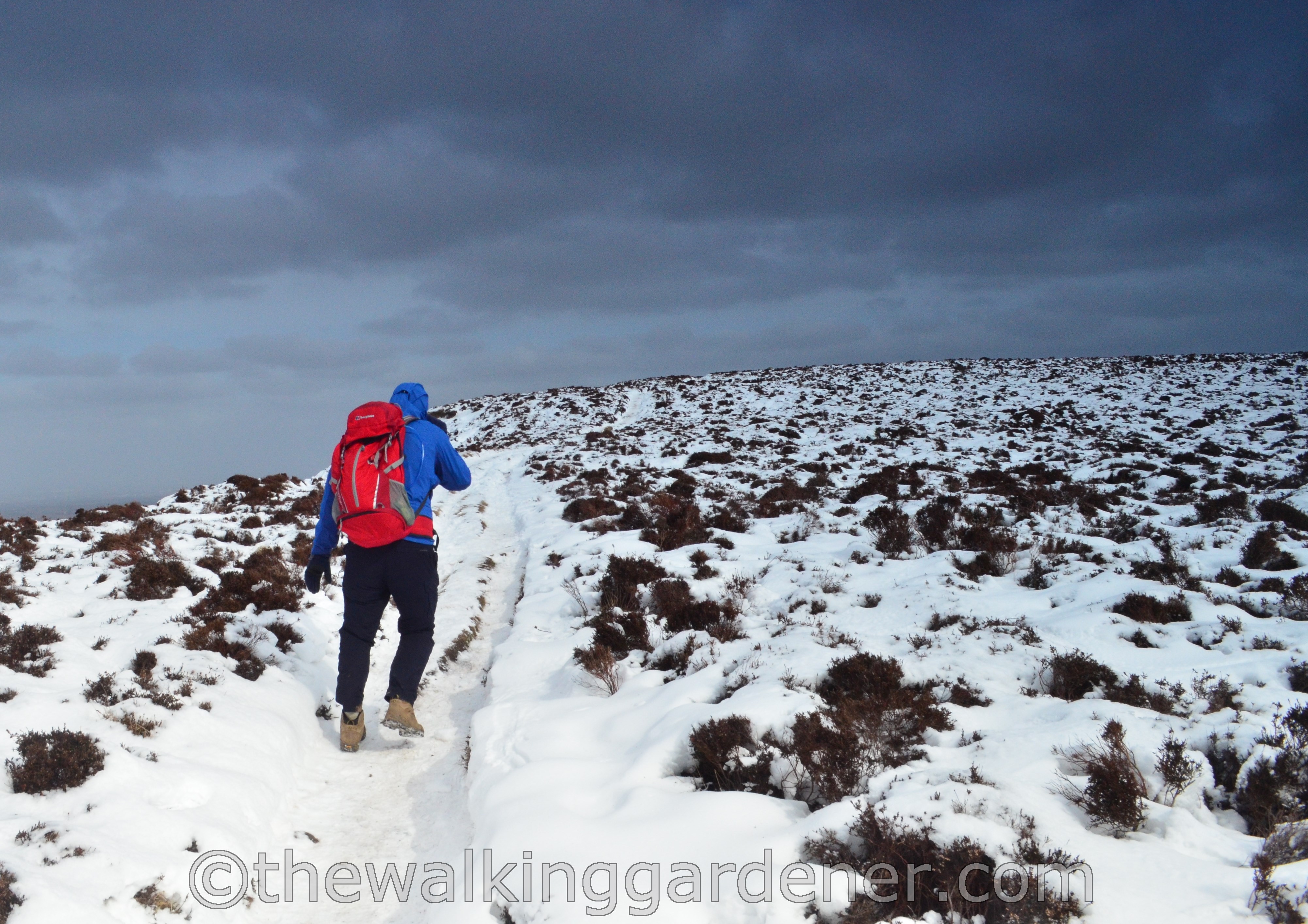 Coast to Coast Ingleby Cross to Blakey Ridge (5)
