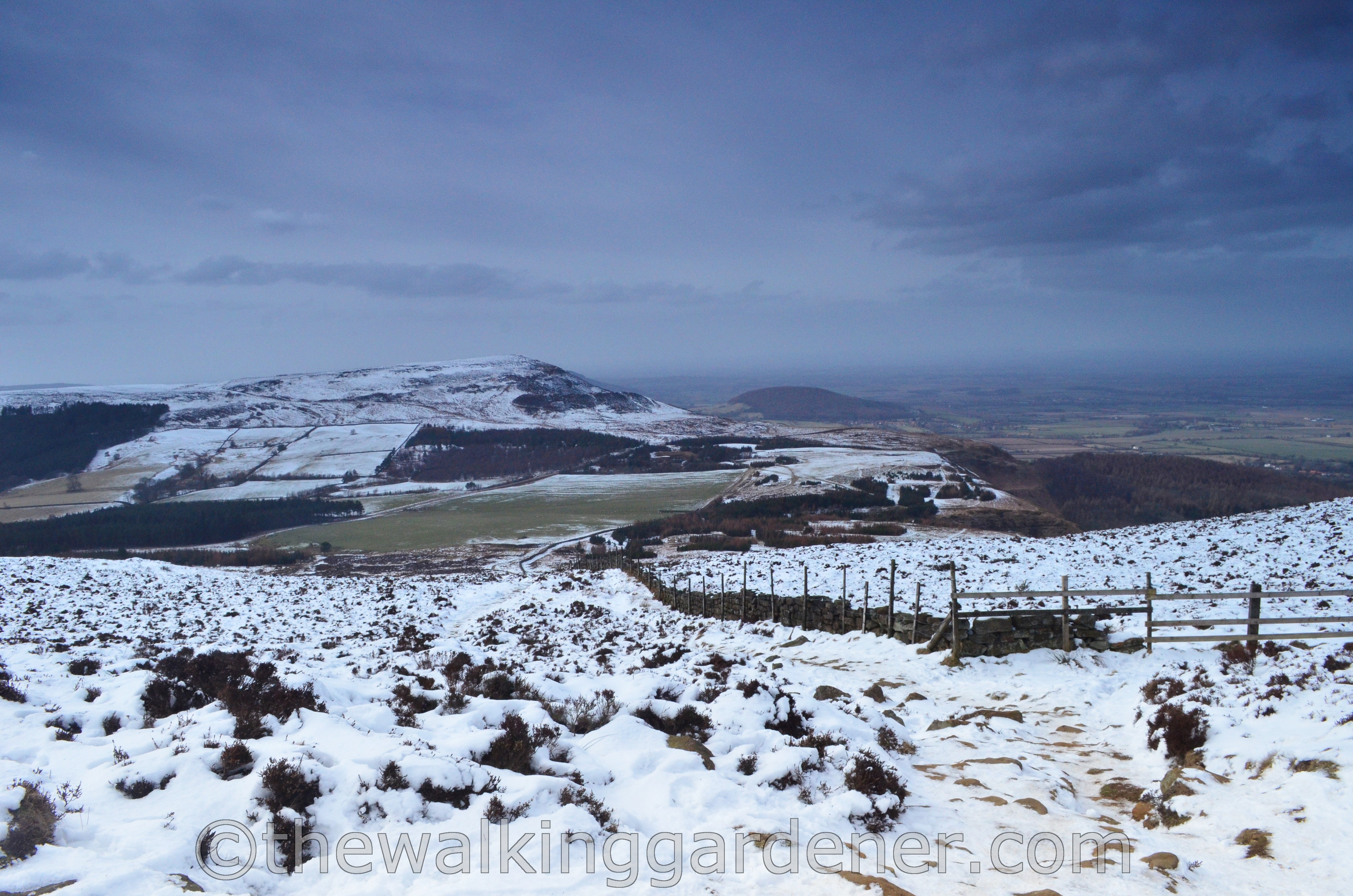 Coast to Coast Ingleby Cross to Blakey Ridge (9)