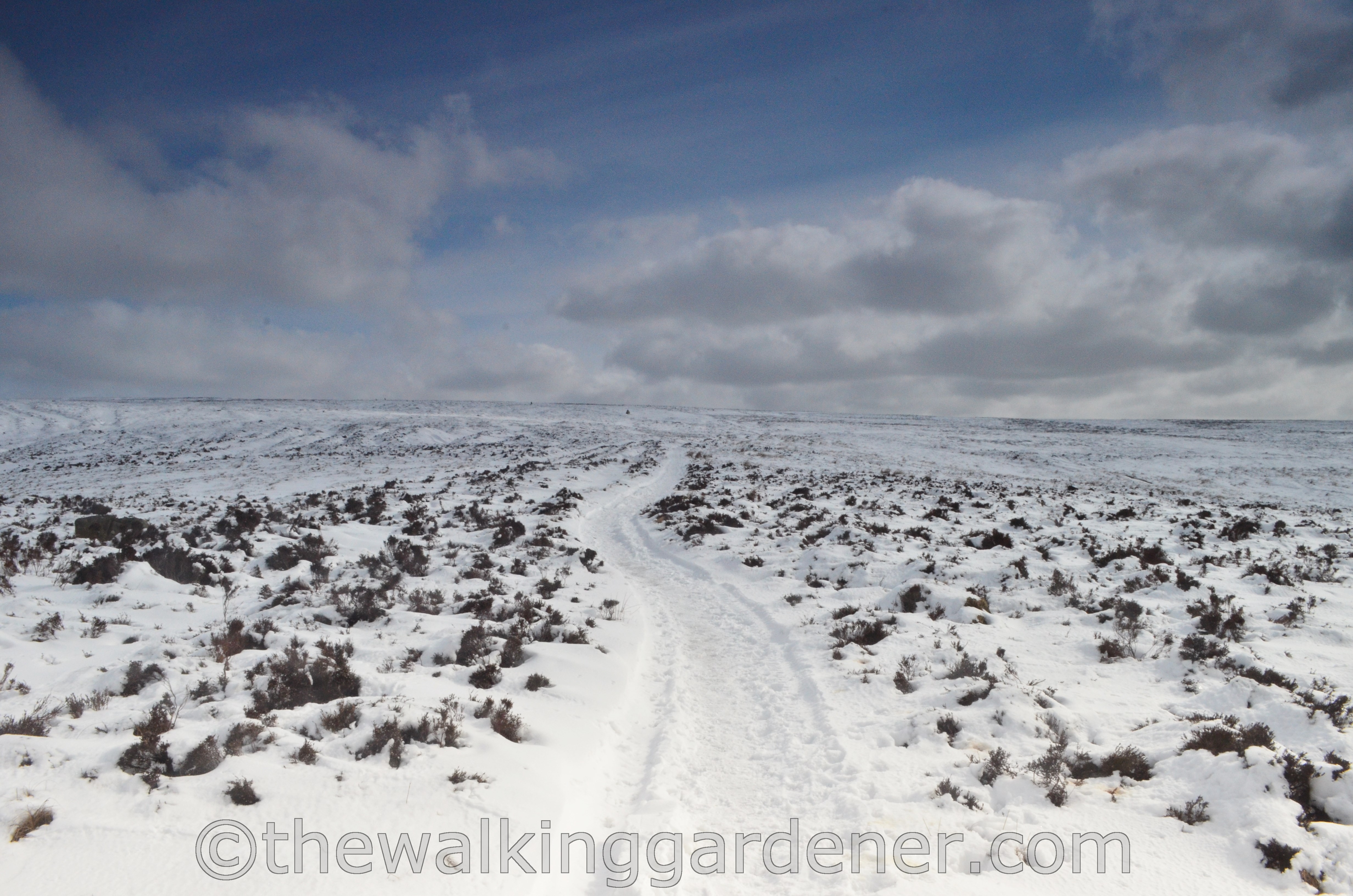 Coast to Coast North York Moors (1)