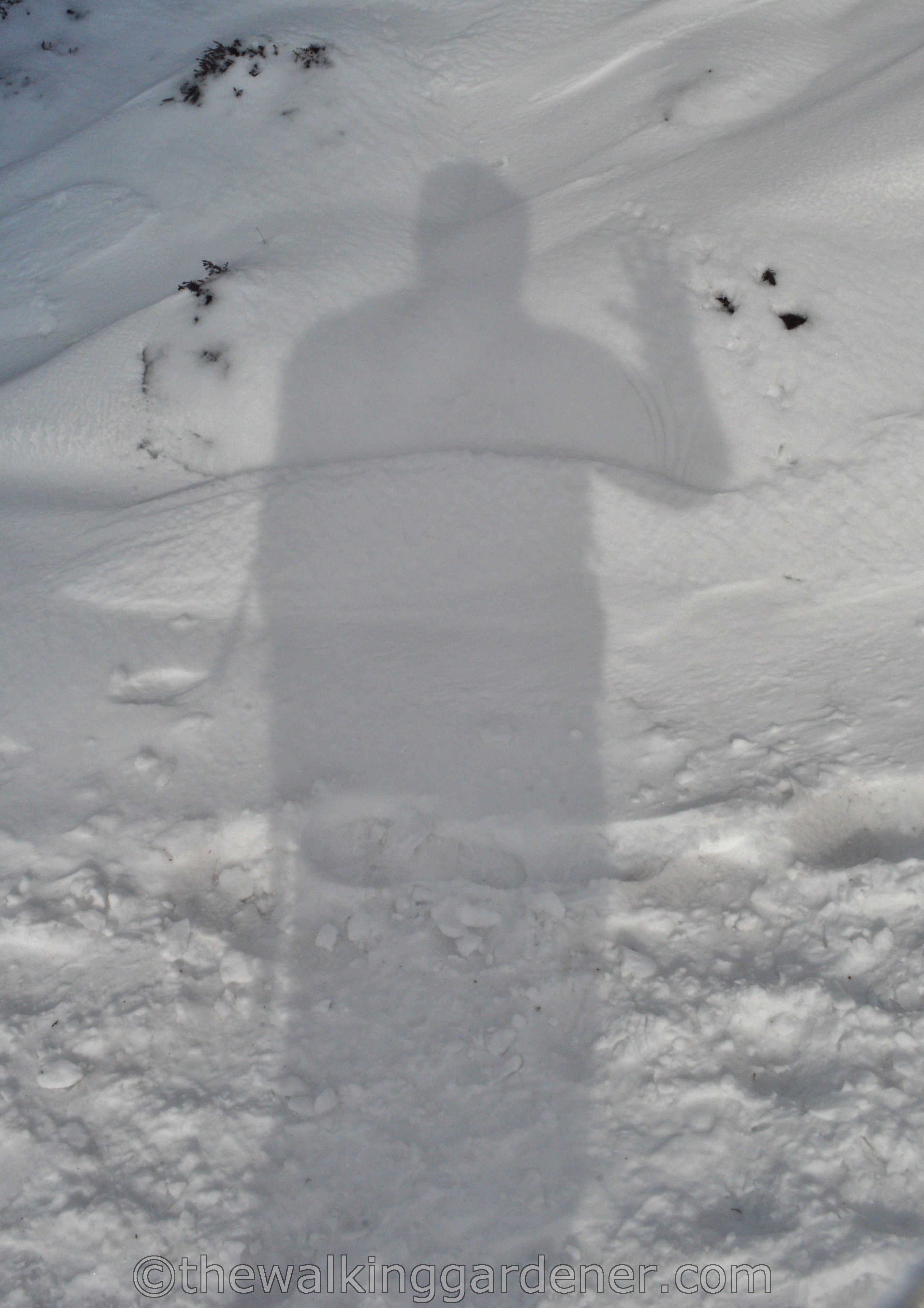 Coast to Coast North York Moors (3)