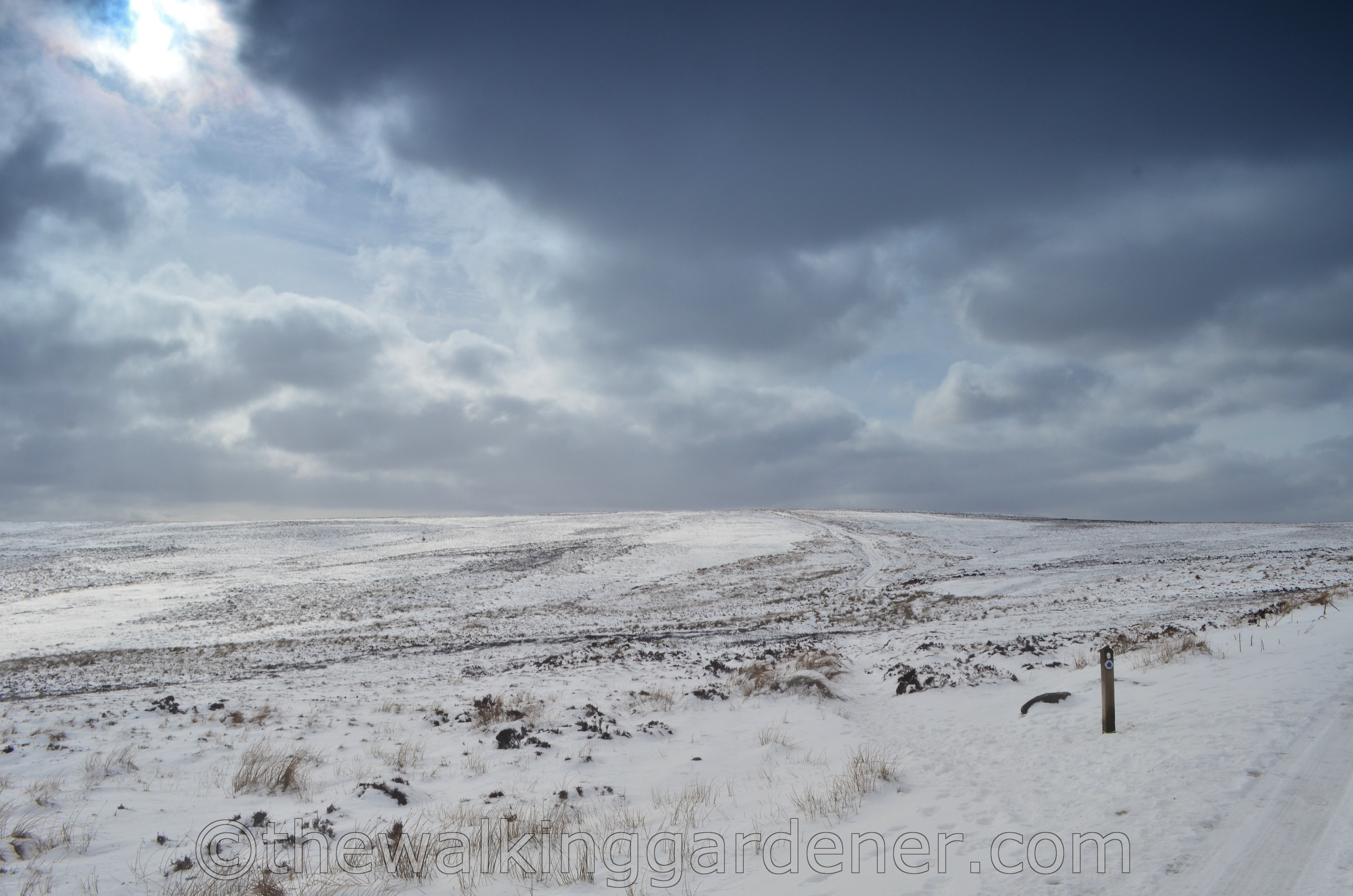 Coast to Coast North York Moors (4)