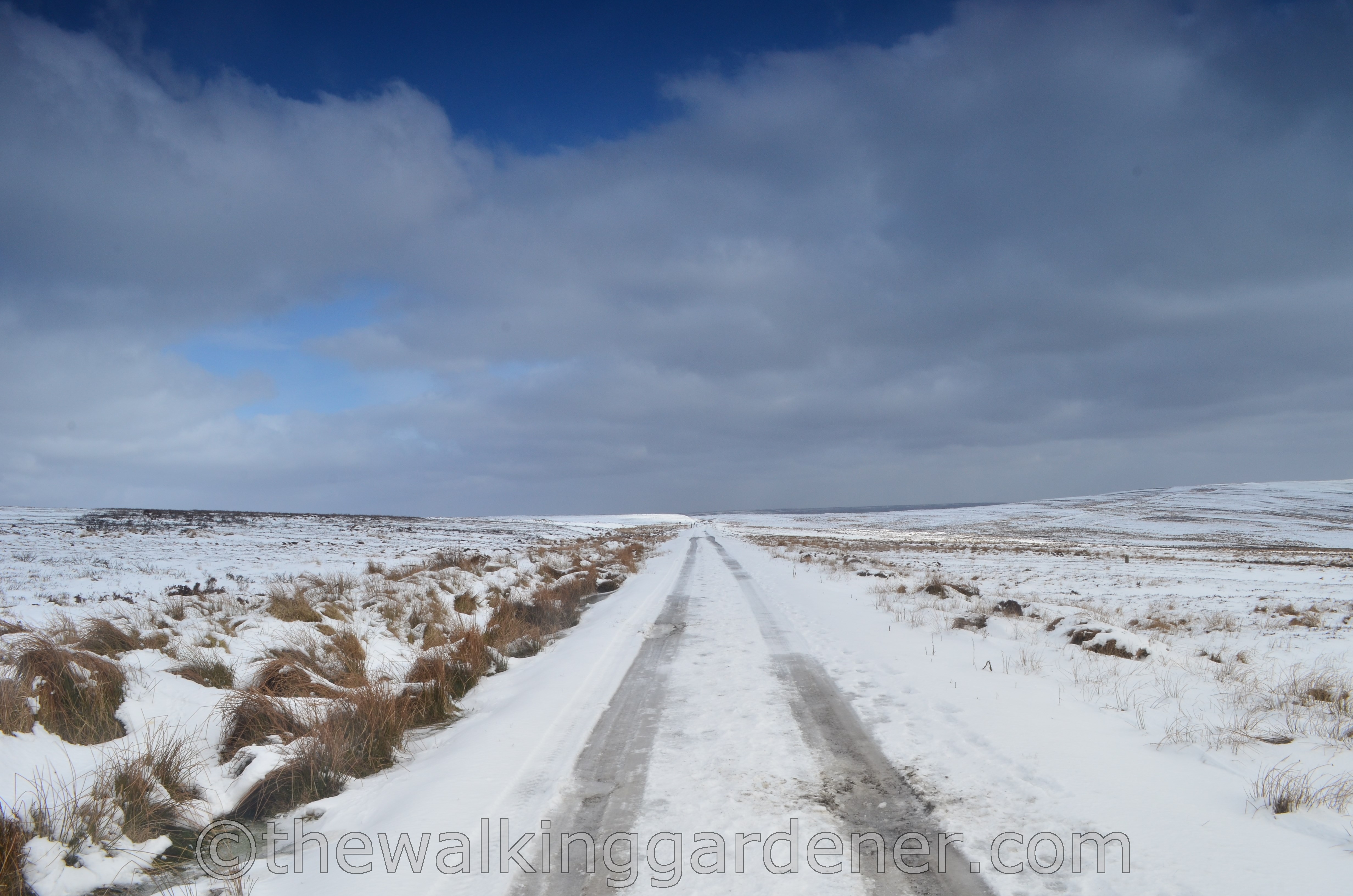 Coast to Coast North York Moors (5)
