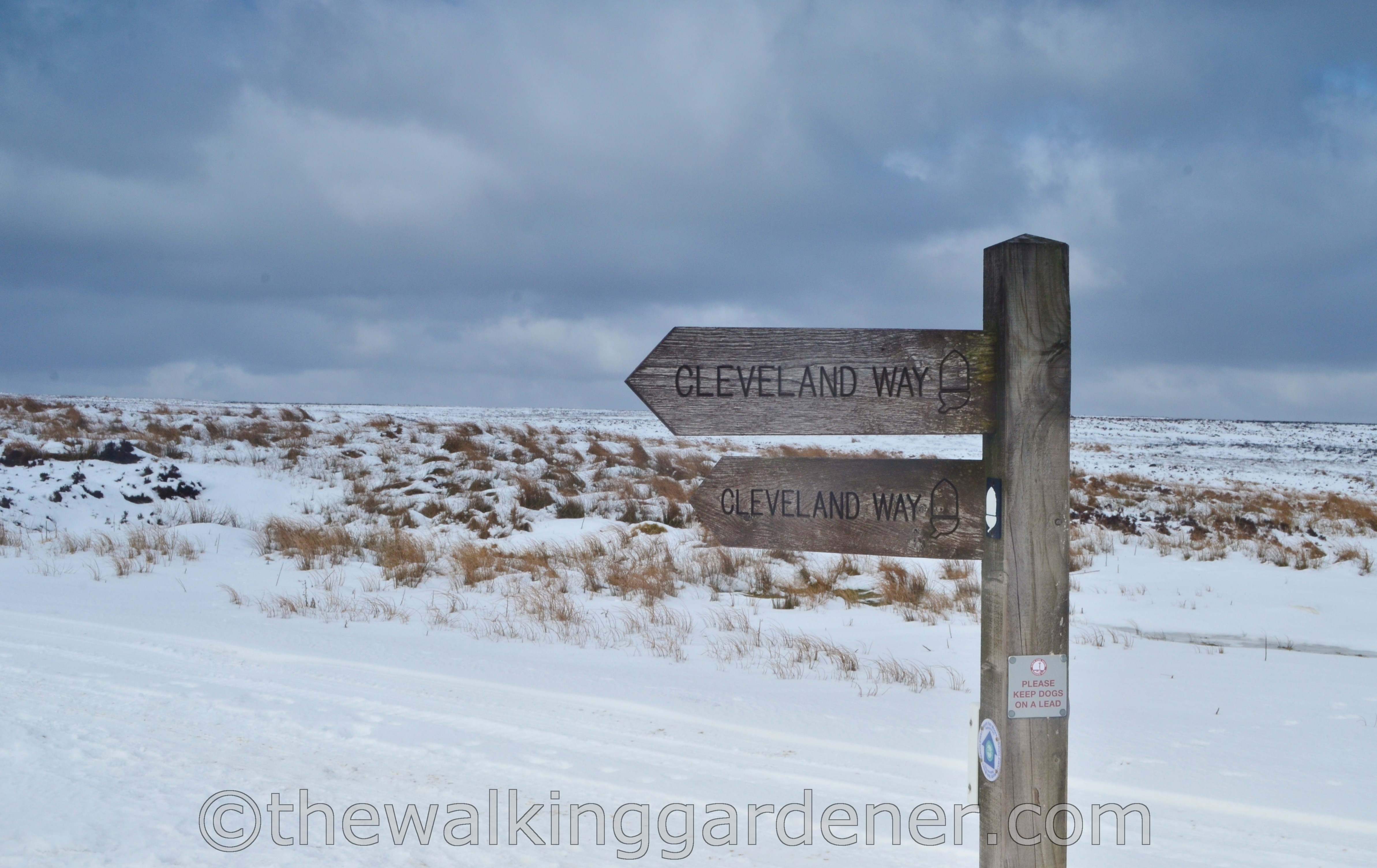Coast to Coast North York Moors (6)