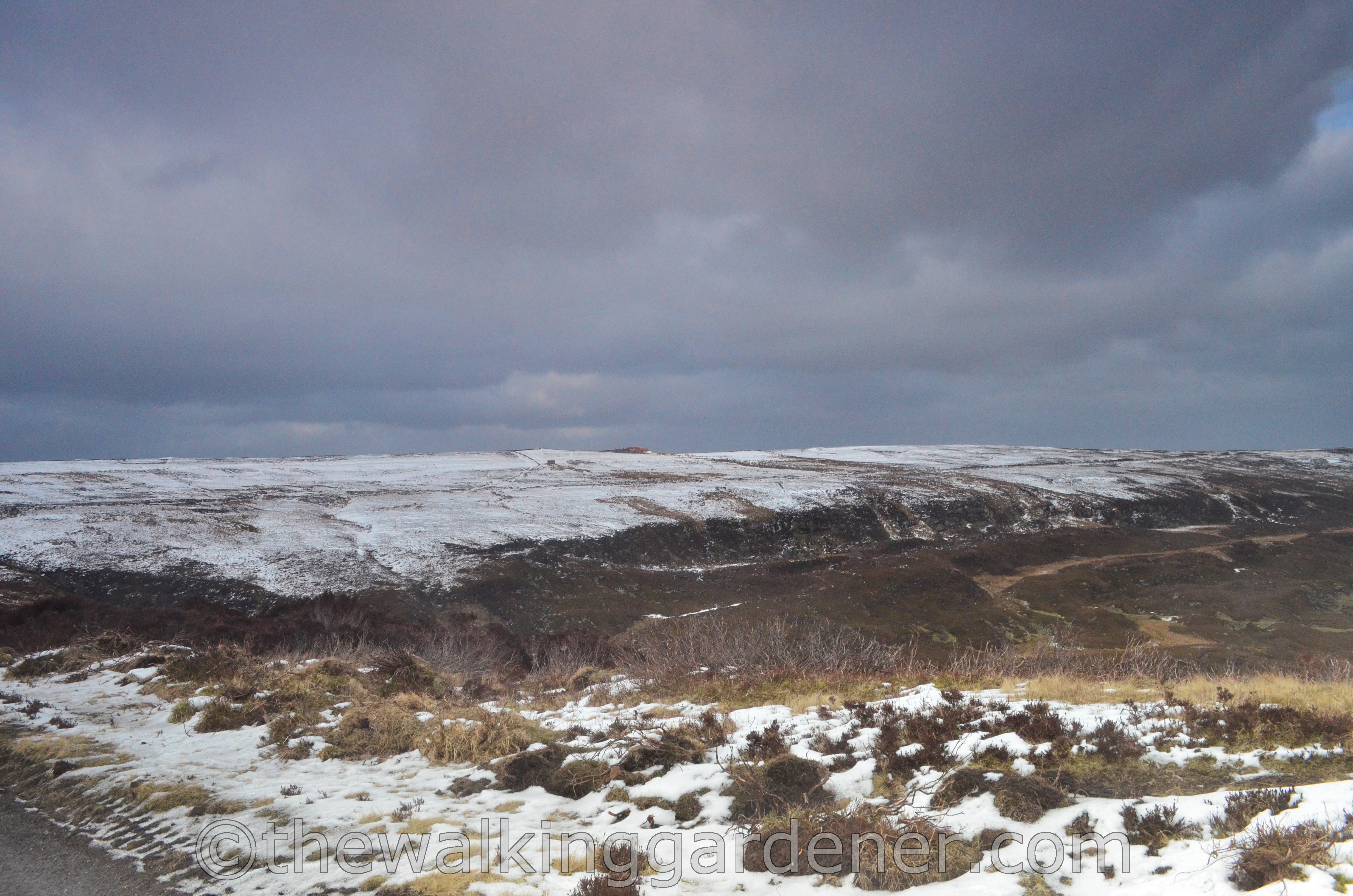 Coast to Coast North York Moors (7)
