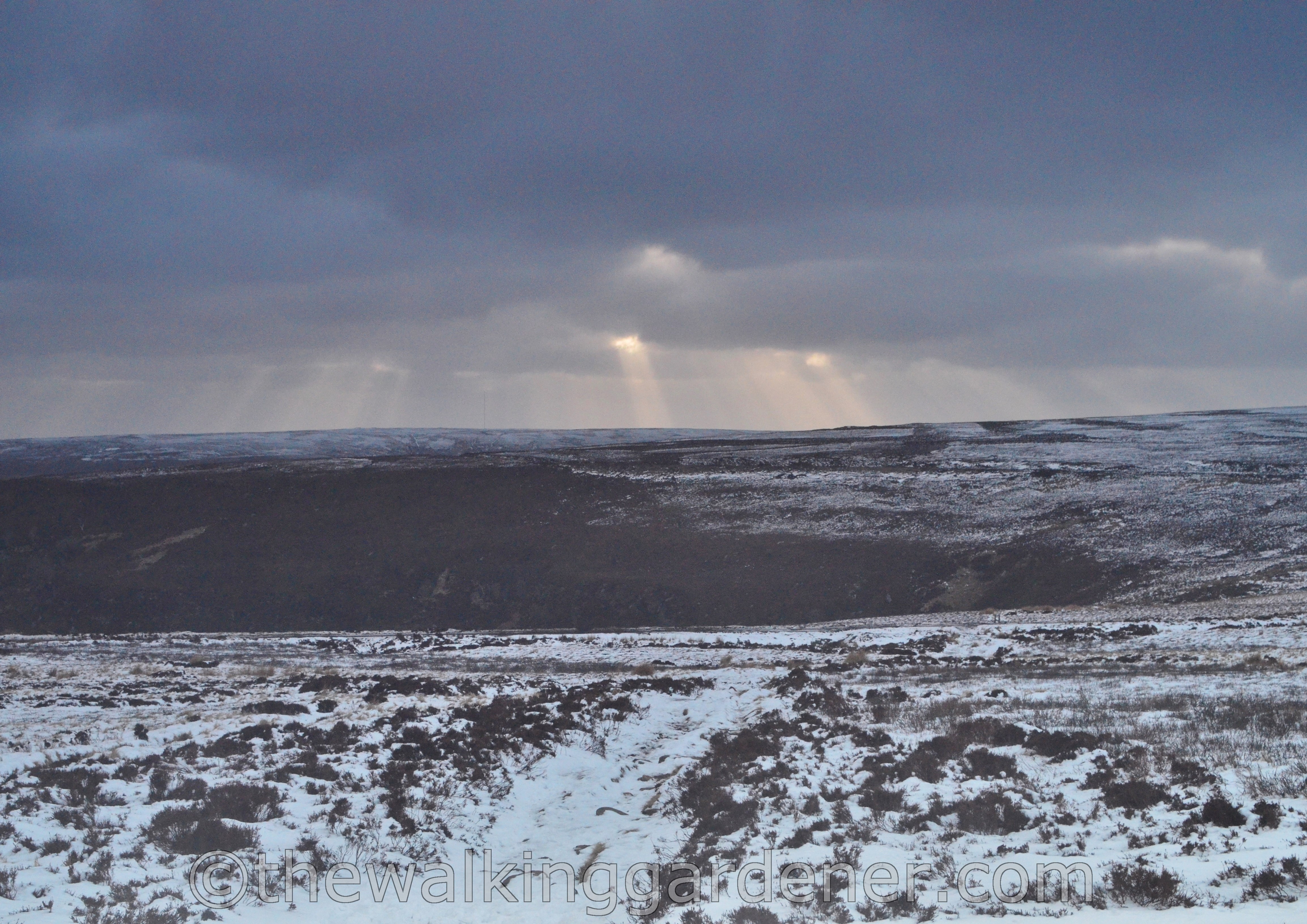 Coast to Coast North York Moors (8)