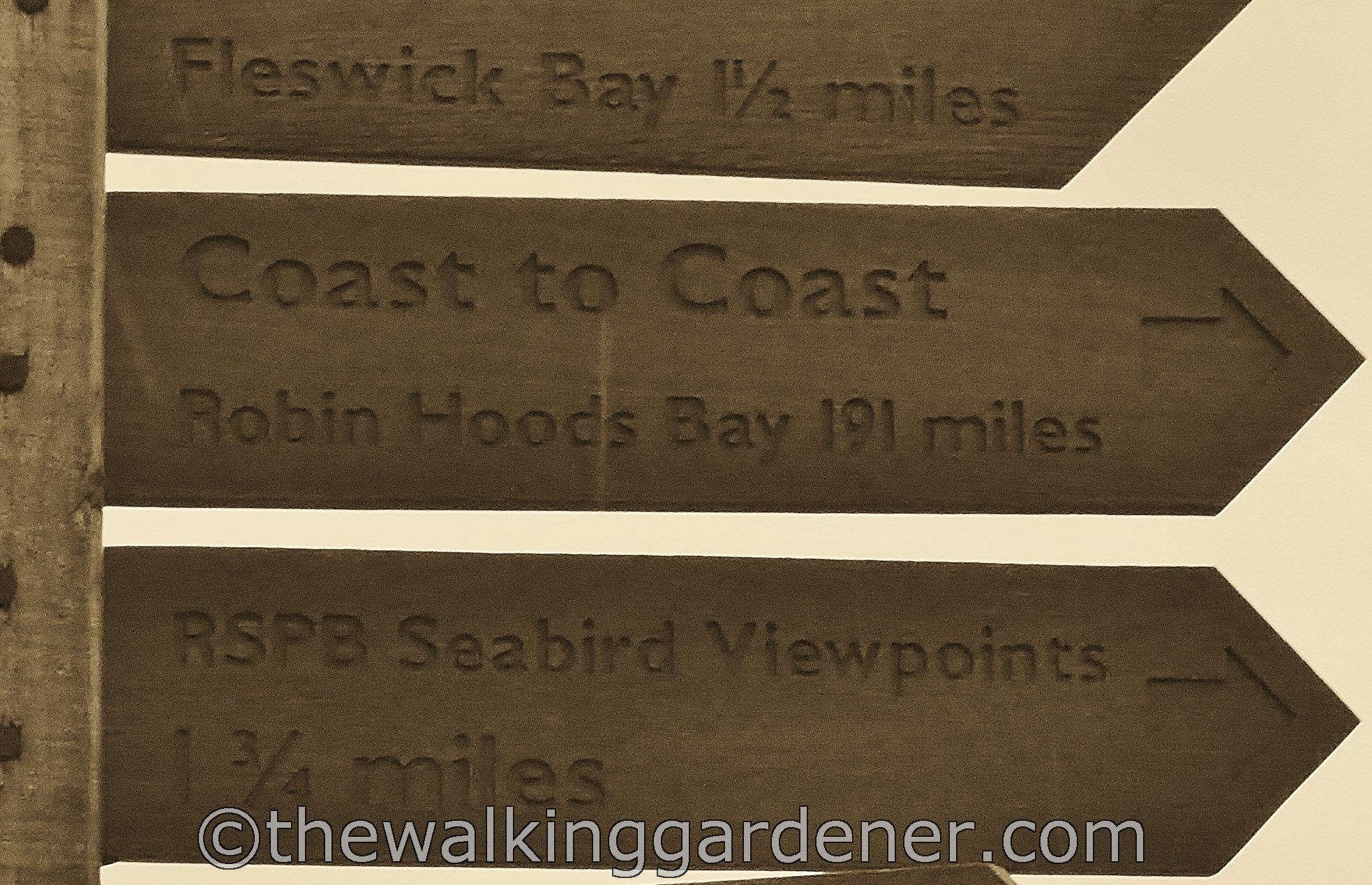 Coast to Coast Signs (11)