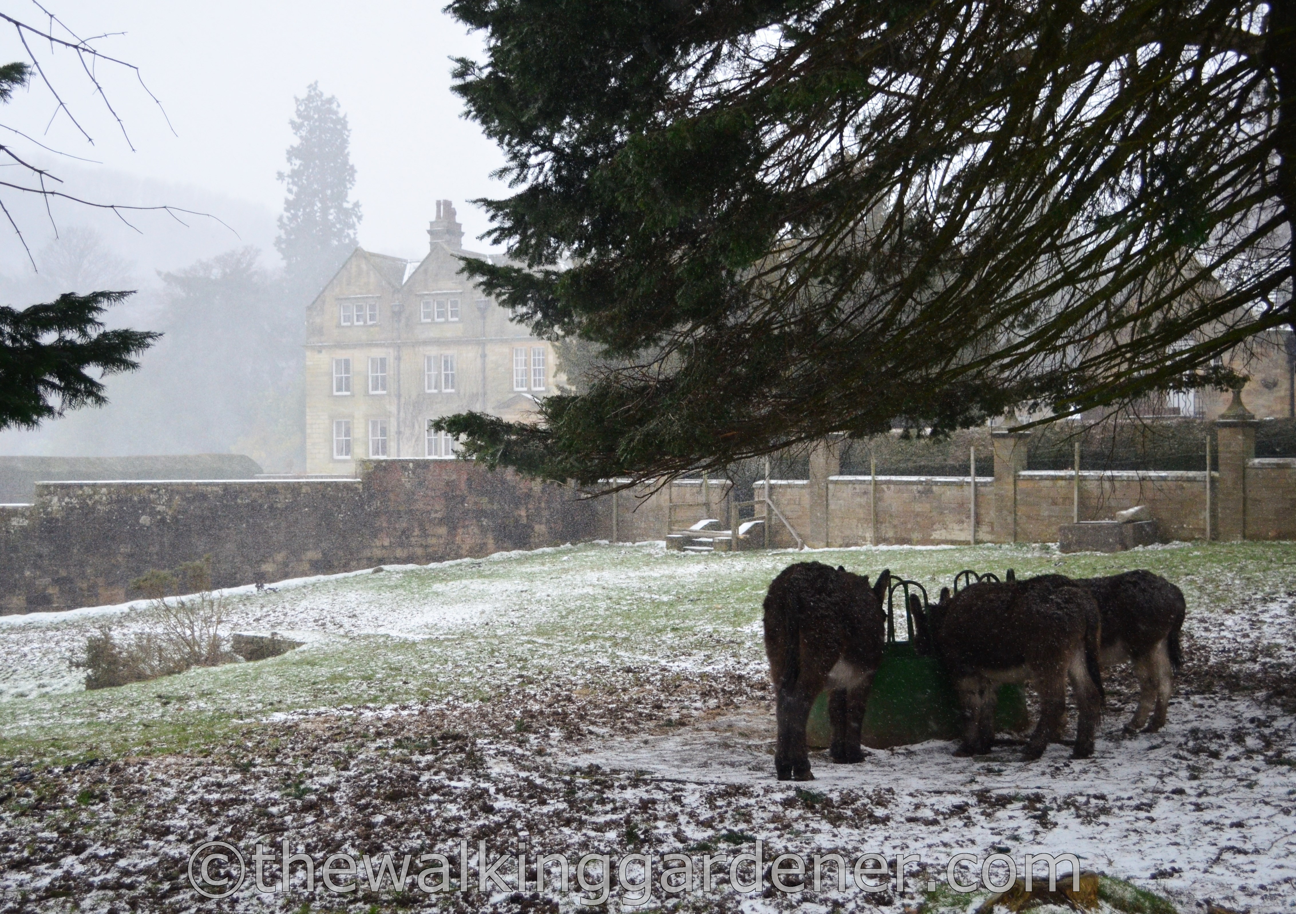 Egton Manor Coast to Coast