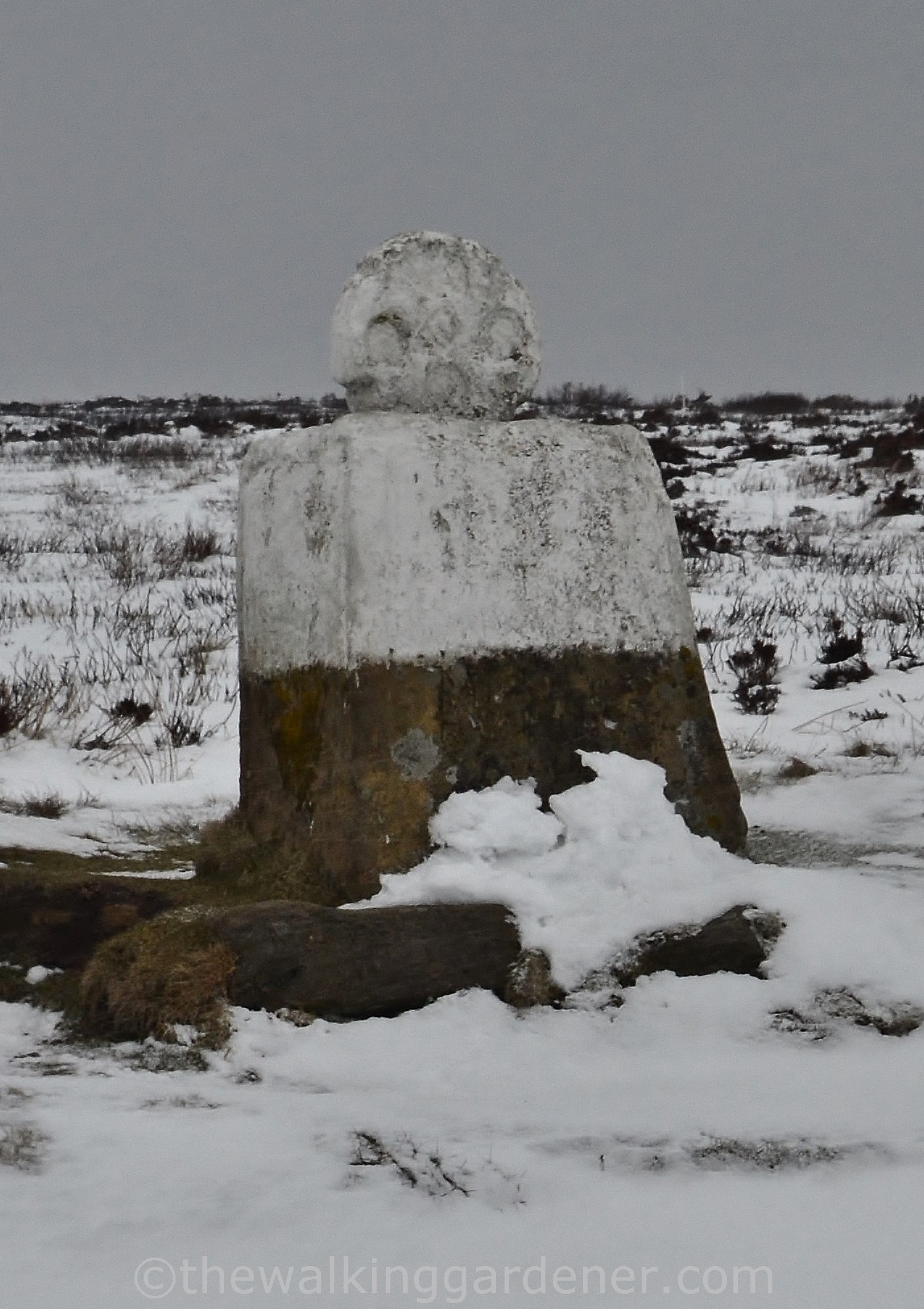 Fat Betty White Cross (1)