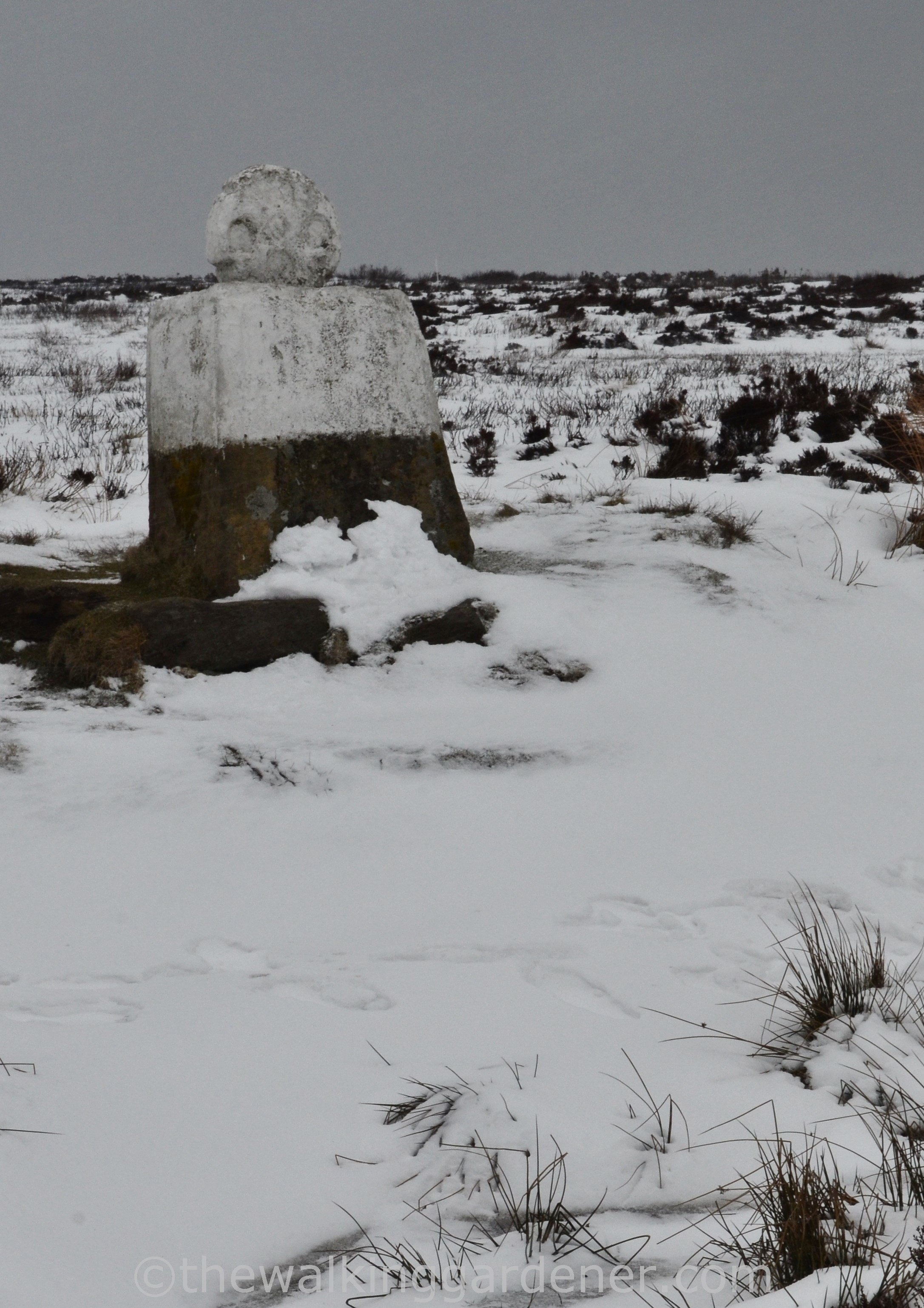 Fat Betty White Cross (2)