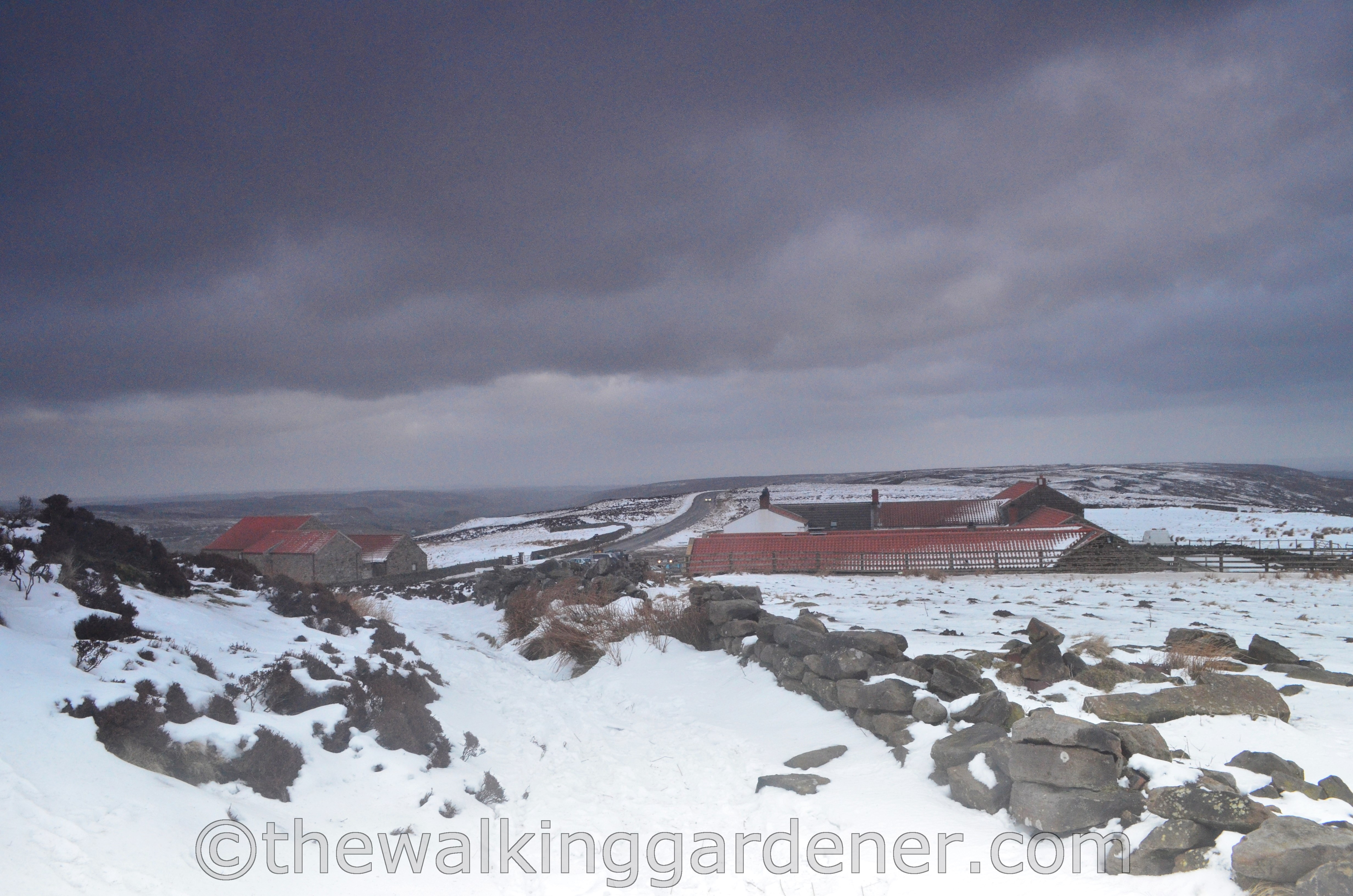 The Lion Inn Blakey Ridge (1)