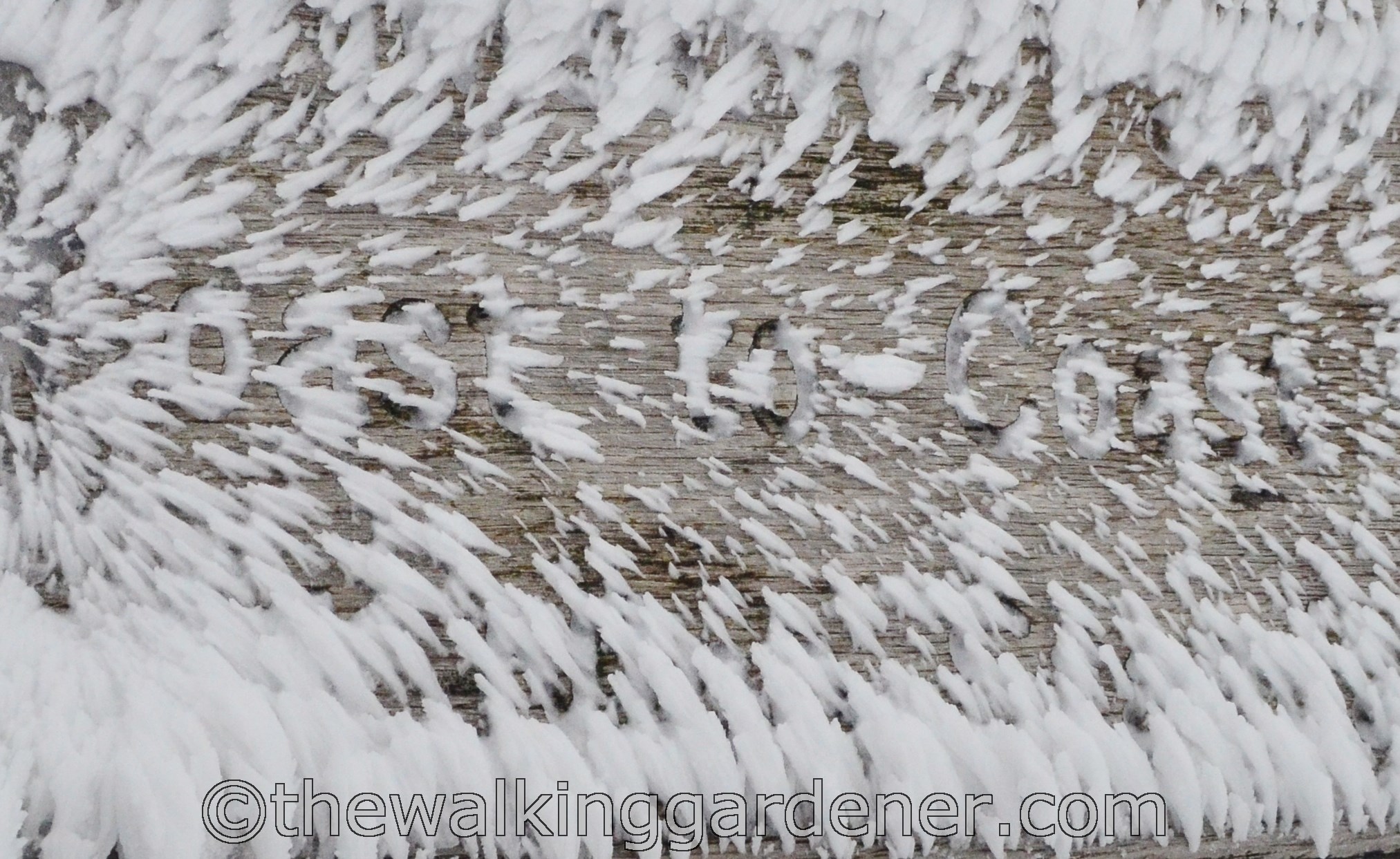 Walking the Coast to Coast (3)