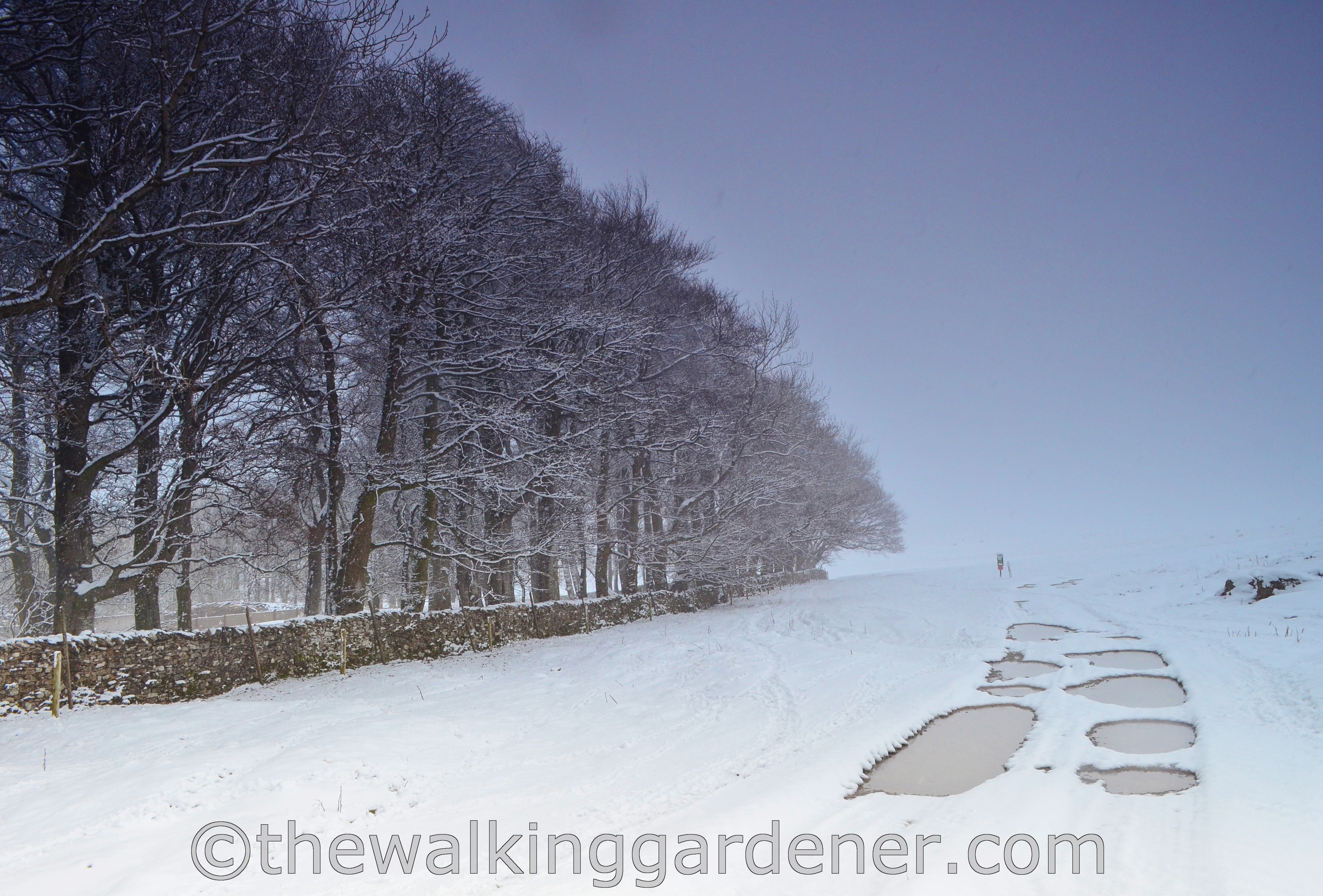 Walking the Coast to Coast (5)