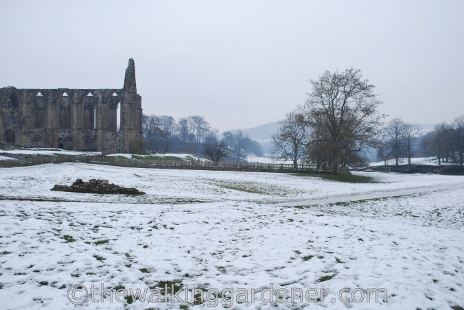 Bolton Priory Dales Way (1)