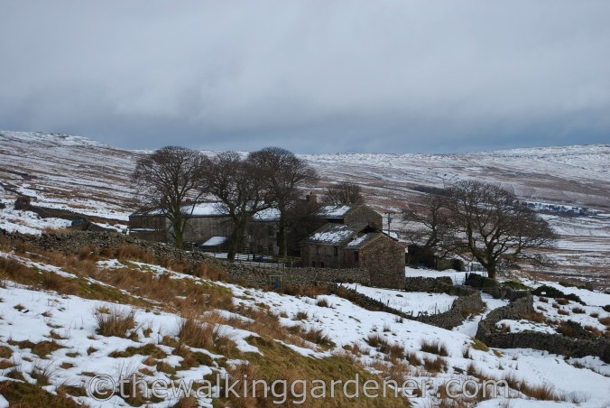 Cam Houses The Dales Way