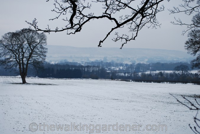 Dales Way Day Ilkley to Burnsall (1)