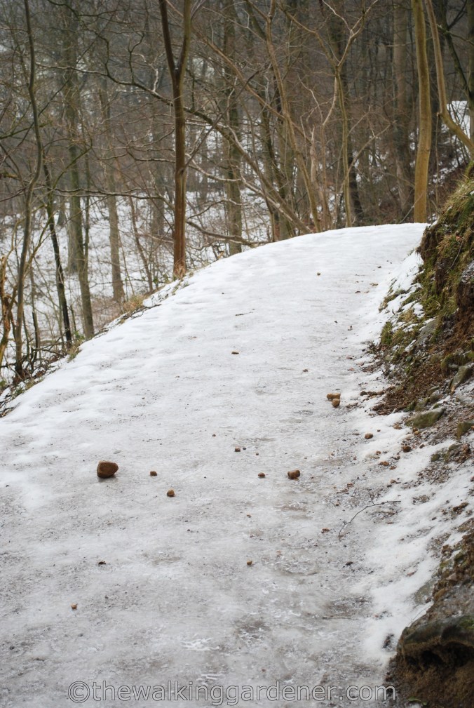 Dales Way Day Ilkley to Burnsall (2)