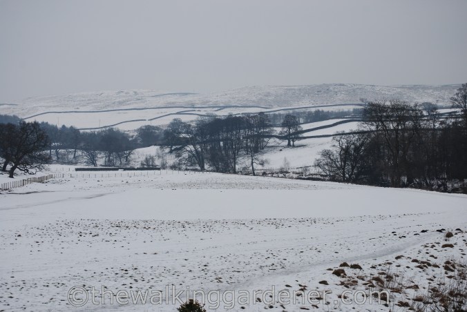 Dales Way Day Ilkley to Burnsall (3)
