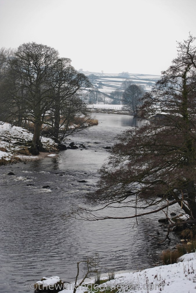 Dales Way Day Ilkley to Burnsall (4)