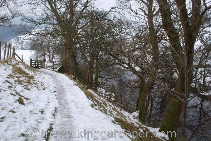 Dales Way Day Ilkley to Burnsall (5)