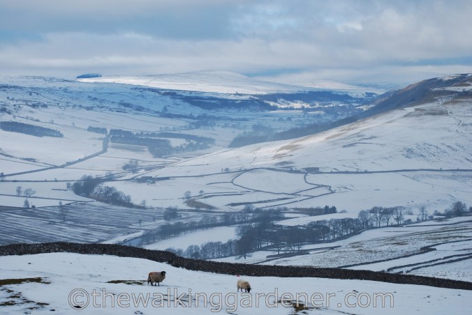 The Dales Way (1)