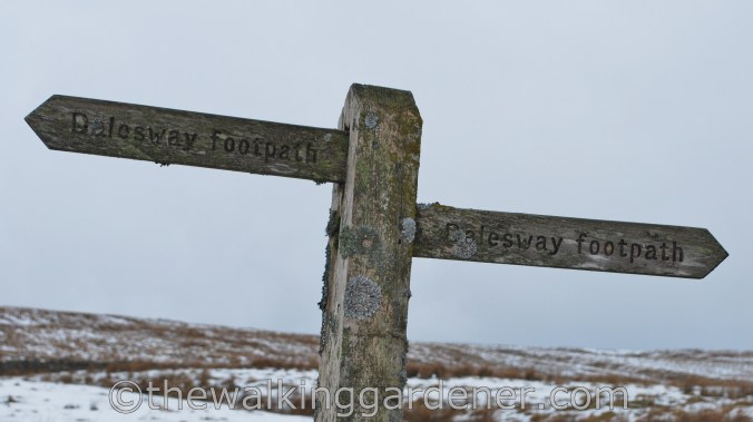 The Dales Way (2)