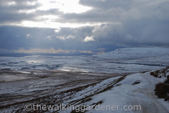 The Dales Way (3)