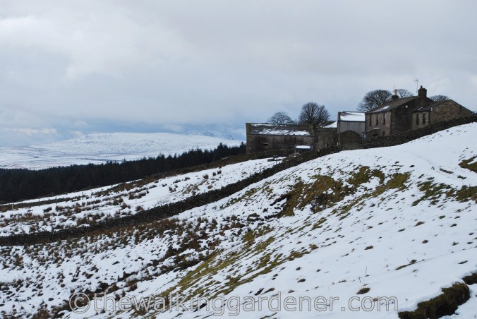 Cam Houses Dales Way (1)