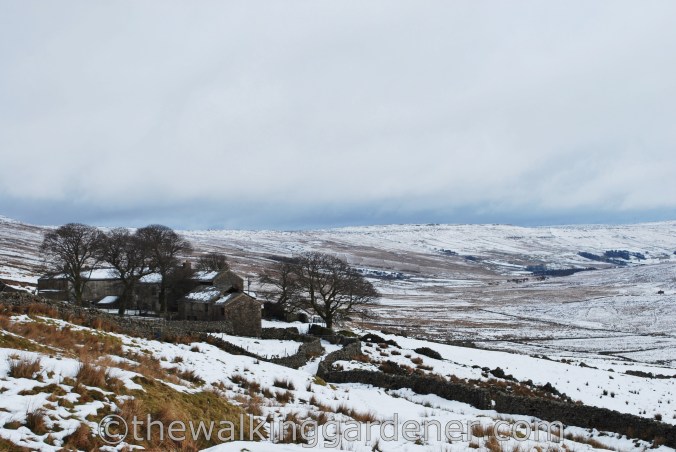 Cam Houses Dales Way (6)