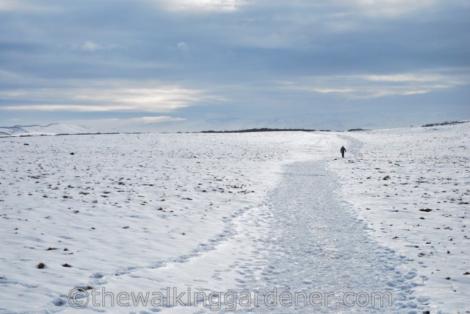 Dales Way Day 2 Burnsall to Cray (11)