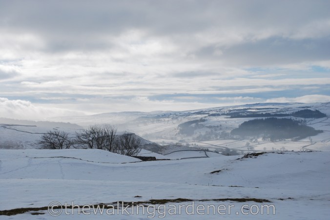 Dales Way Day 2 Burnsall to Cray (19)