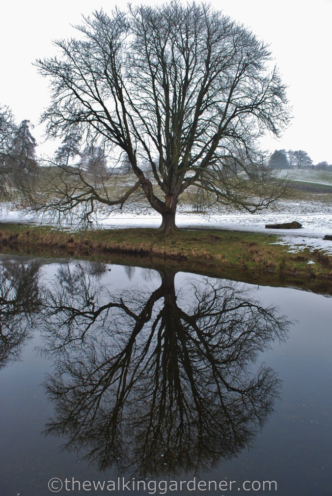 Dales Way Day 2 Burnsall to Cray (2)