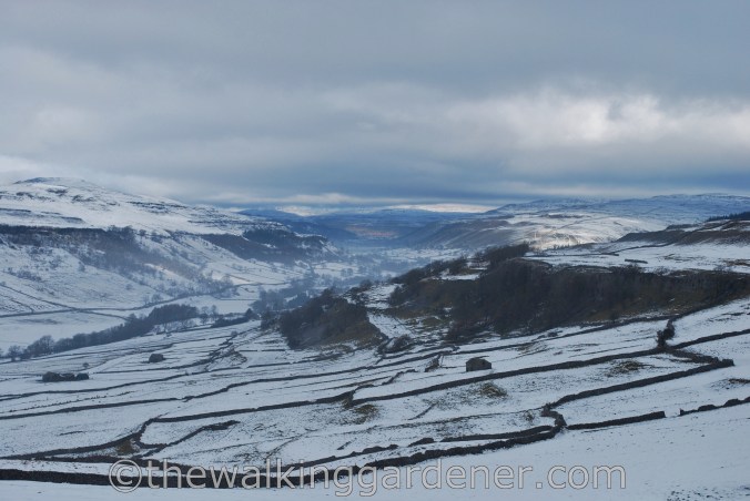 Dales Way Day 2 Burnsall to Cray (20)